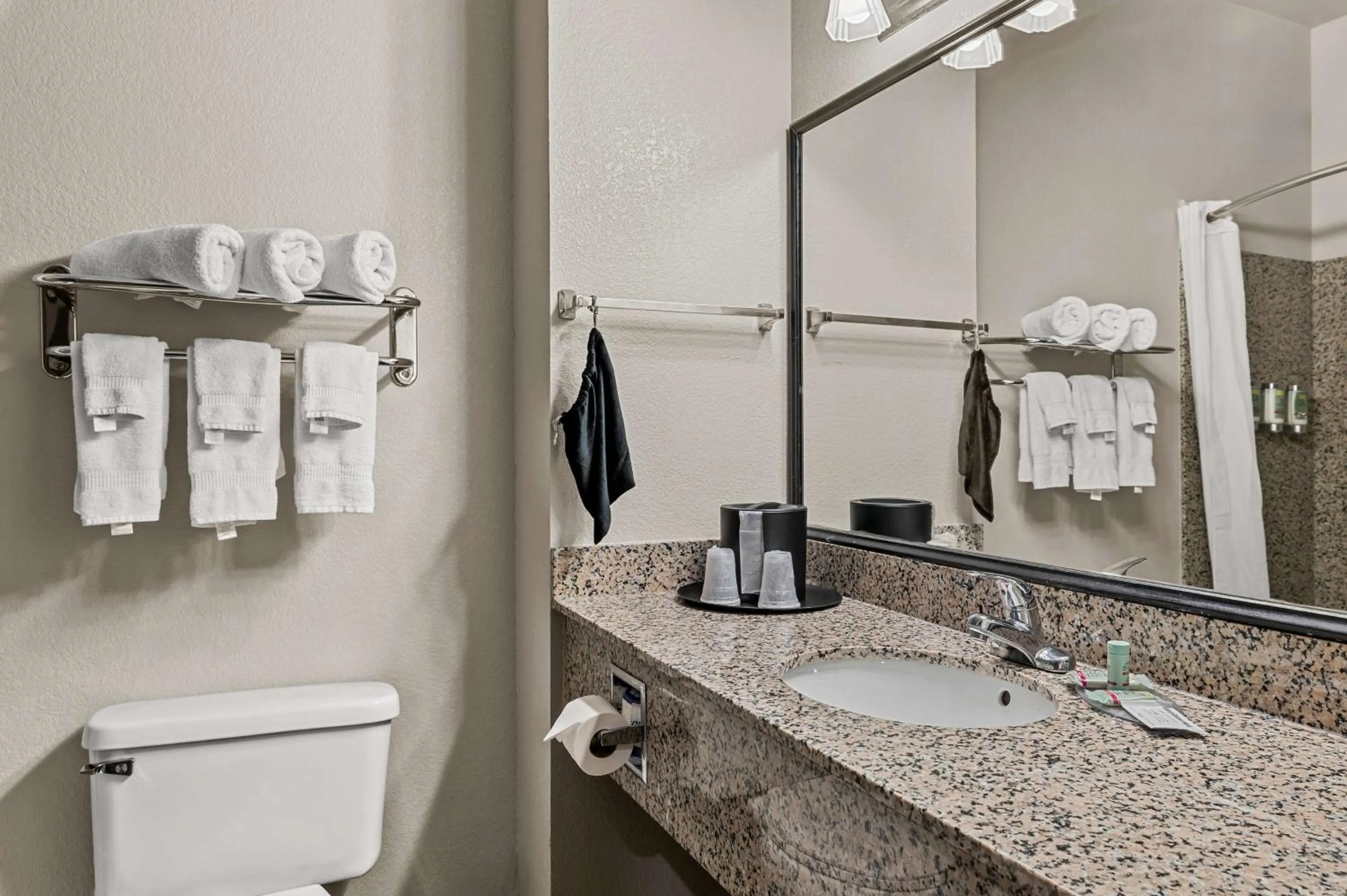 Bathroom in Best Western Sherwood Inn & Suites