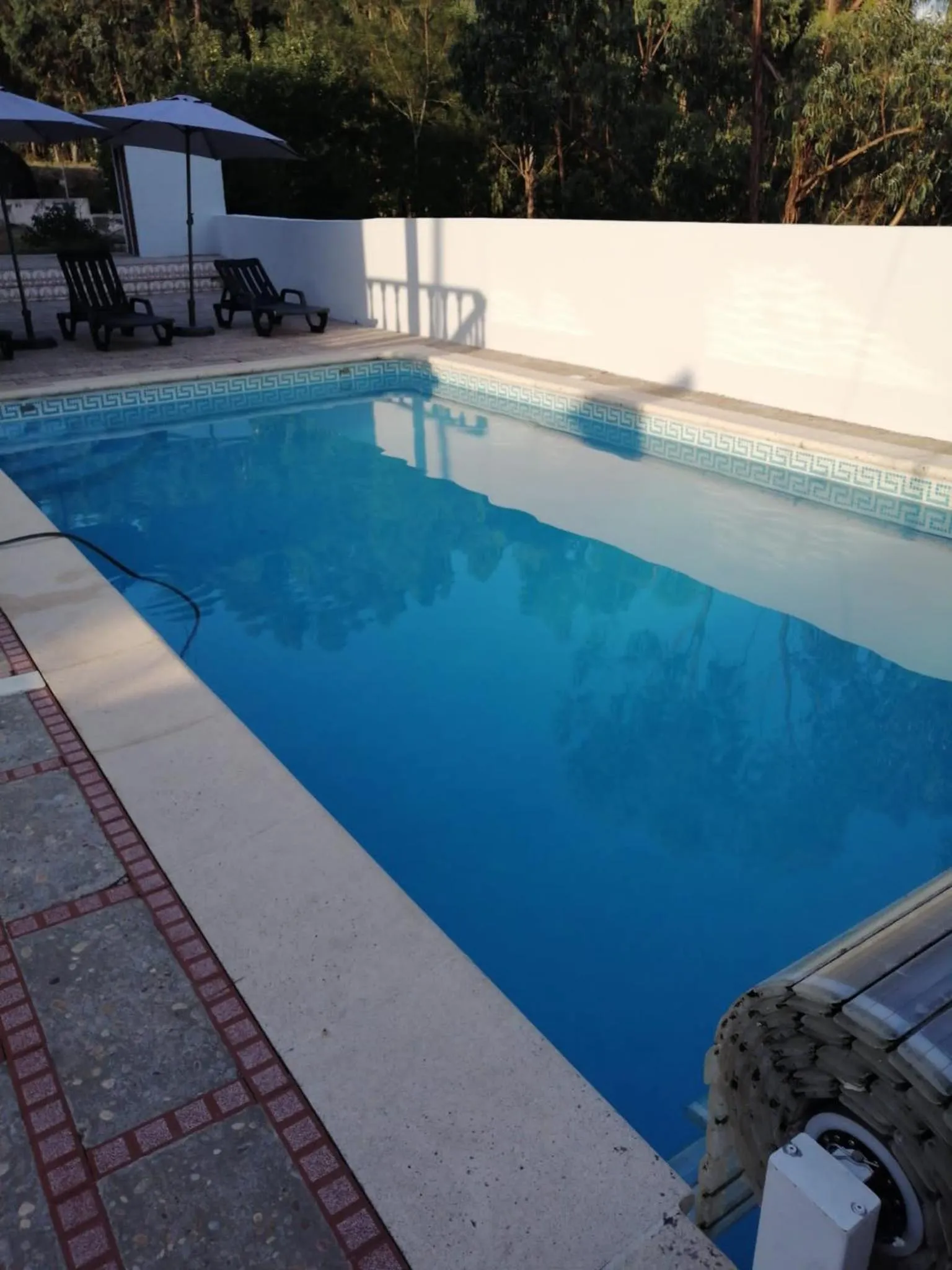 Catloc & Kitcat Alojamento Local