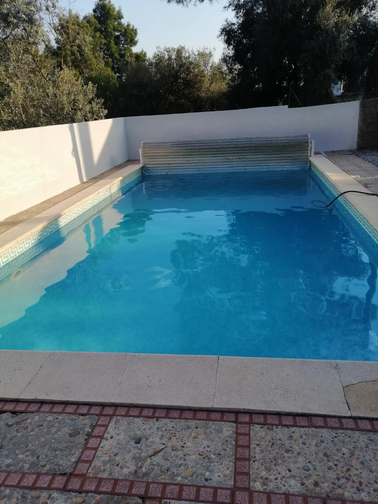 Catloc & Kitcat Alojamento Local