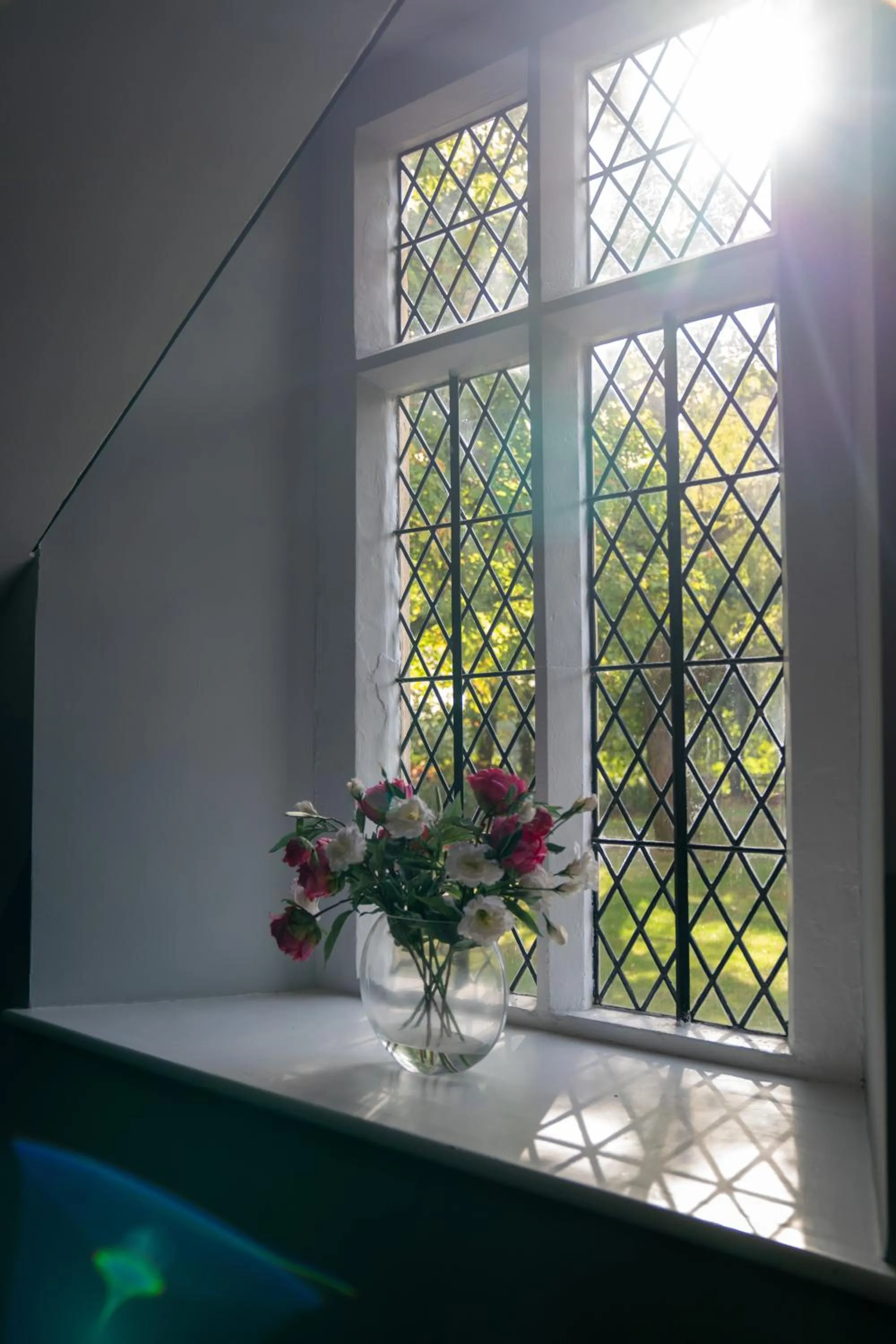 View (from property/room) in Thornbury Lodge