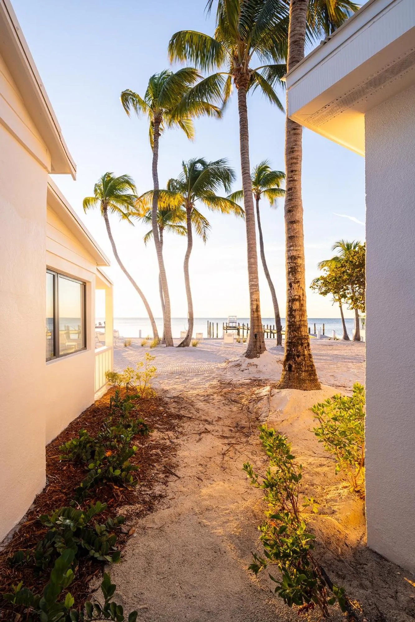 Pines & Palms Resort