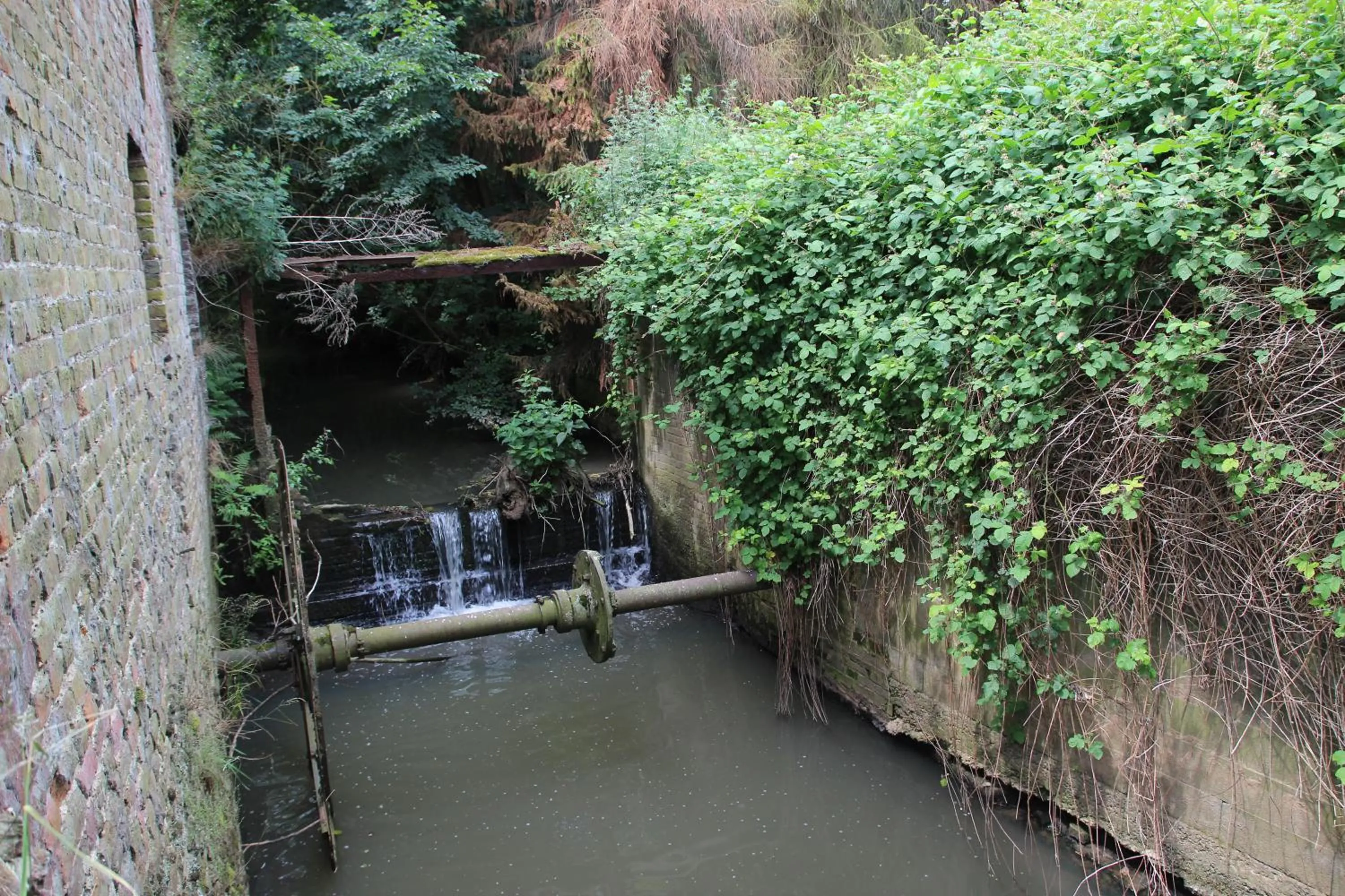 Property building in B&B Dotter 17