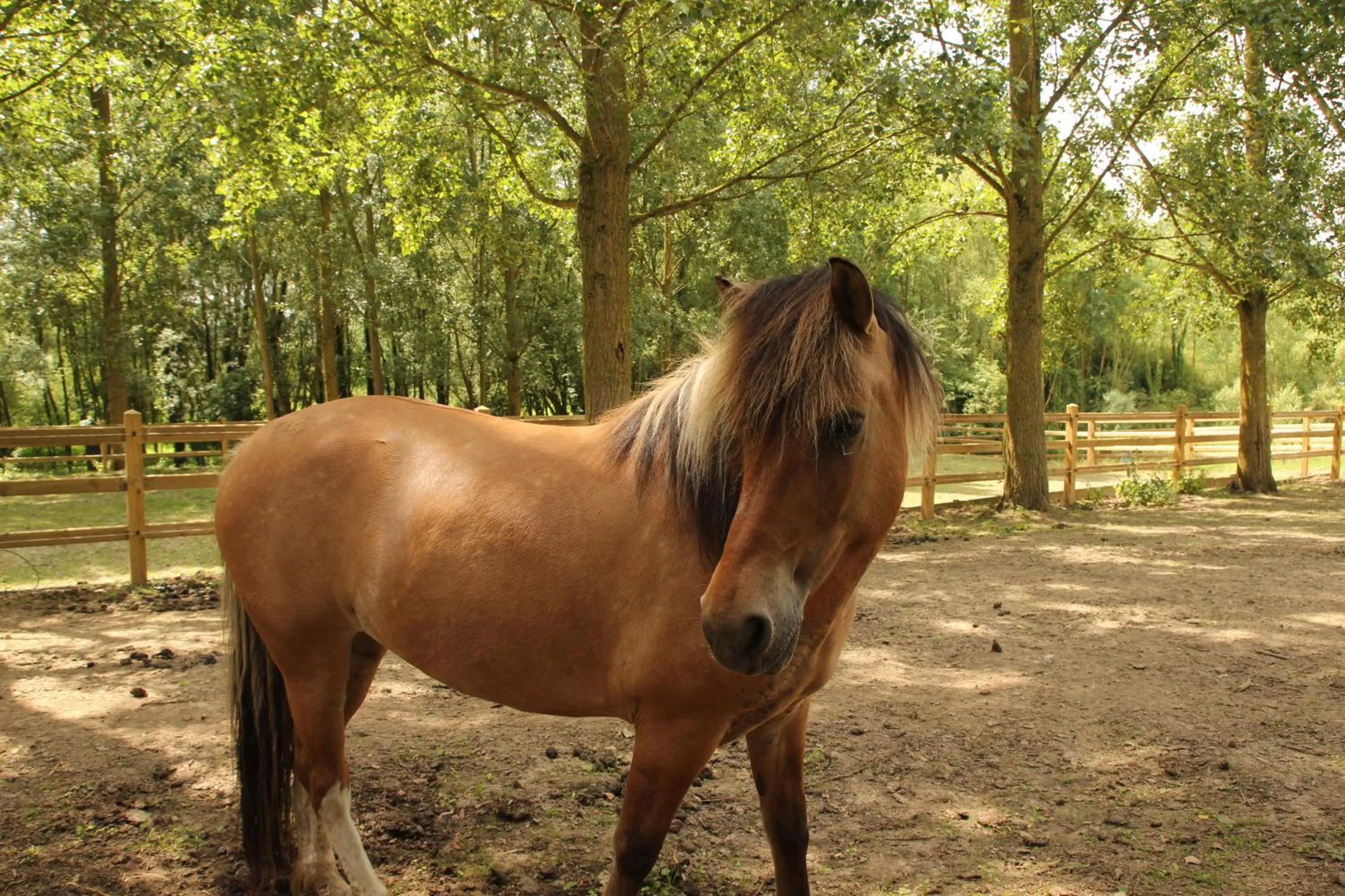 Property building in B&B Dotter 17