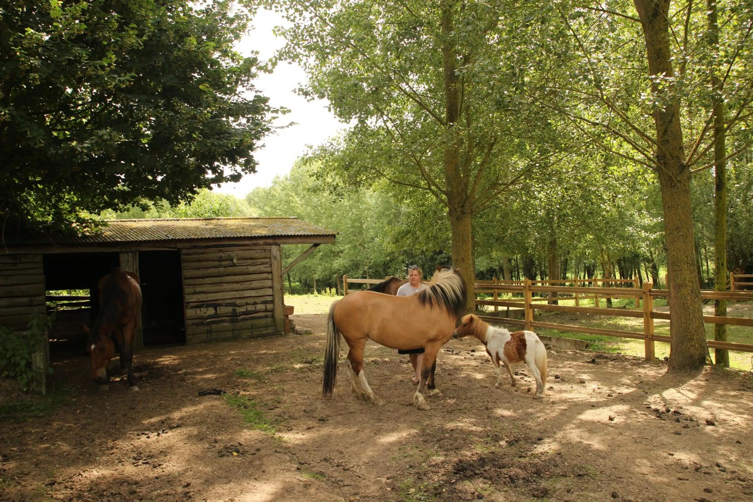 Property building in B&B Dotter 17