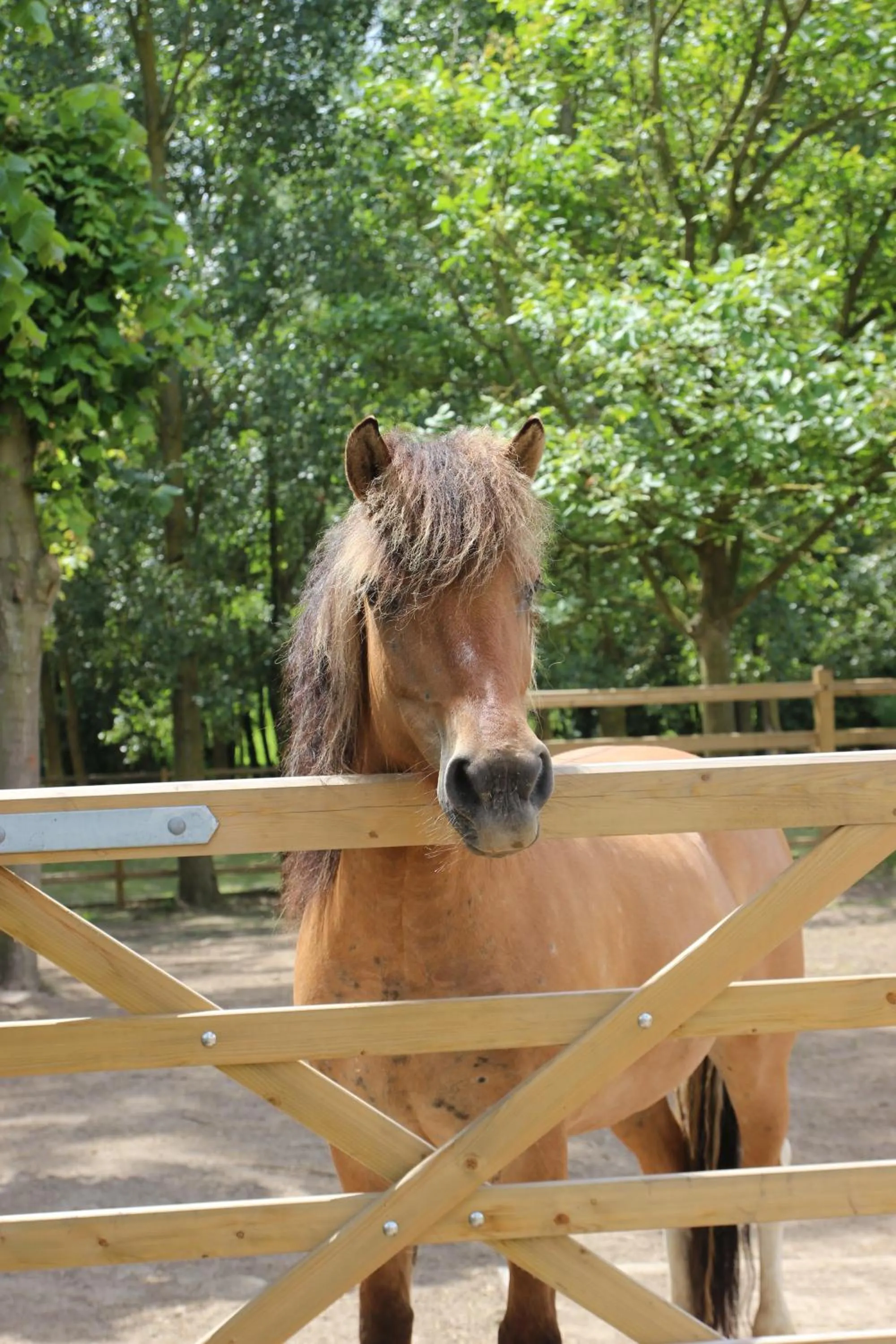 Property building in B&B Dotter 17