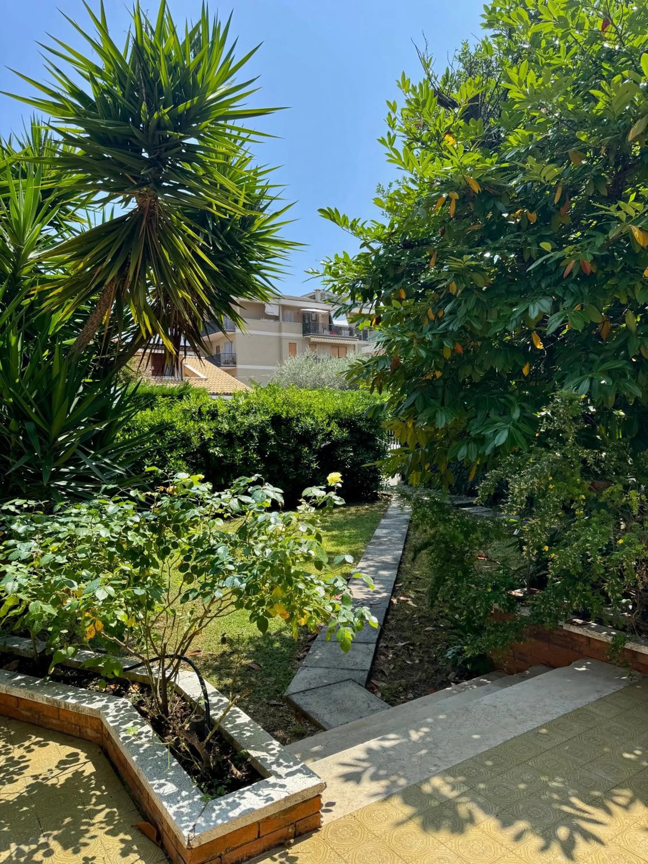 Garden in La Gran Dama