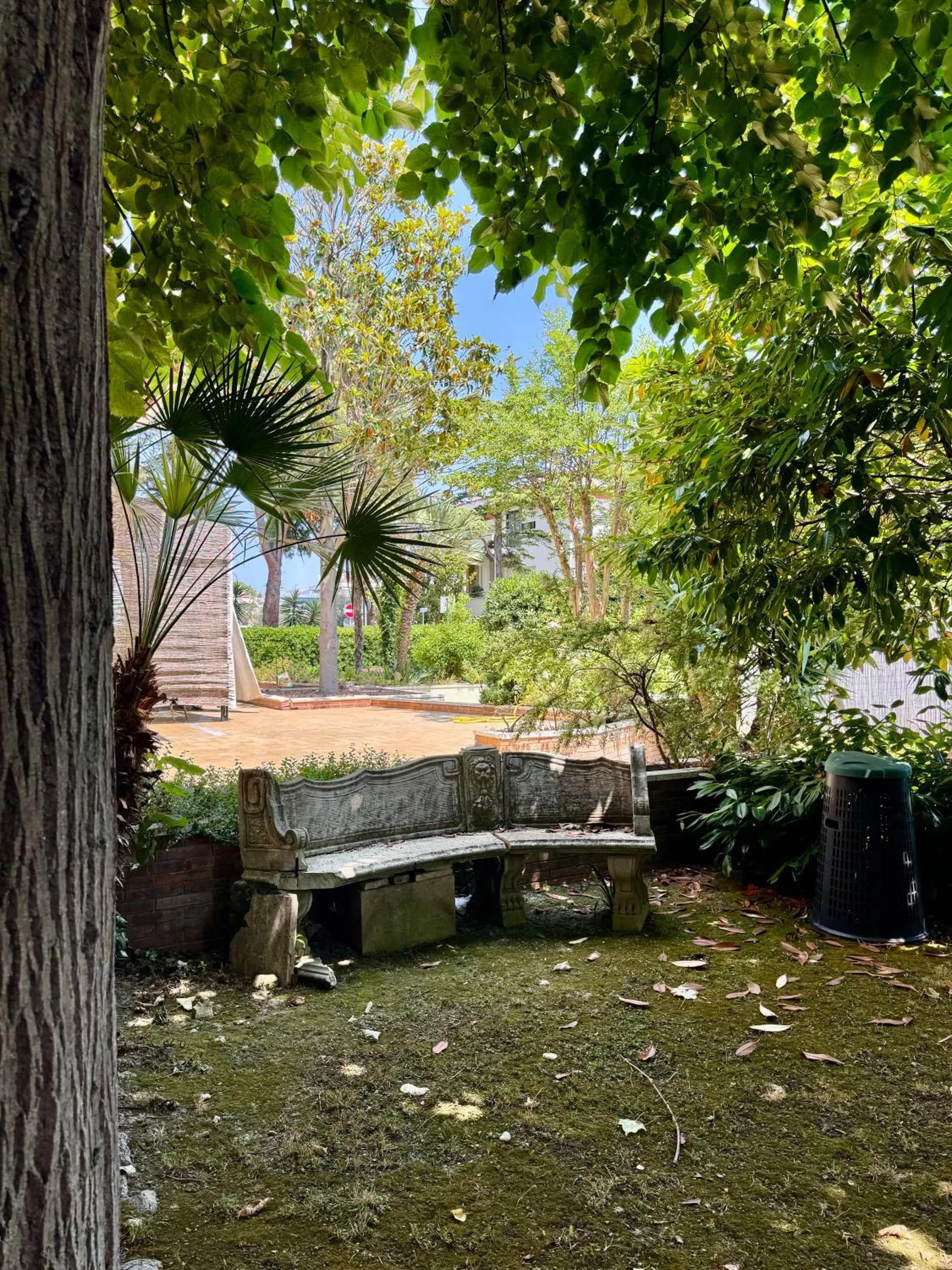 Garden in La Gran Dama