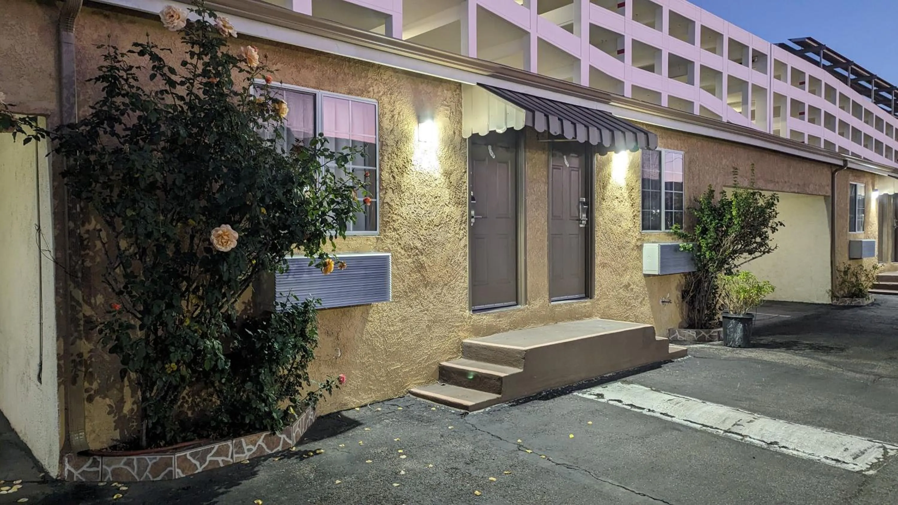 Lobby or reception in Airport Motel - Inglewood