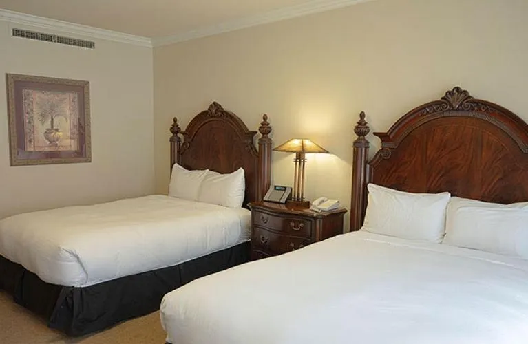Double Room with Patio in Carlton Hotel