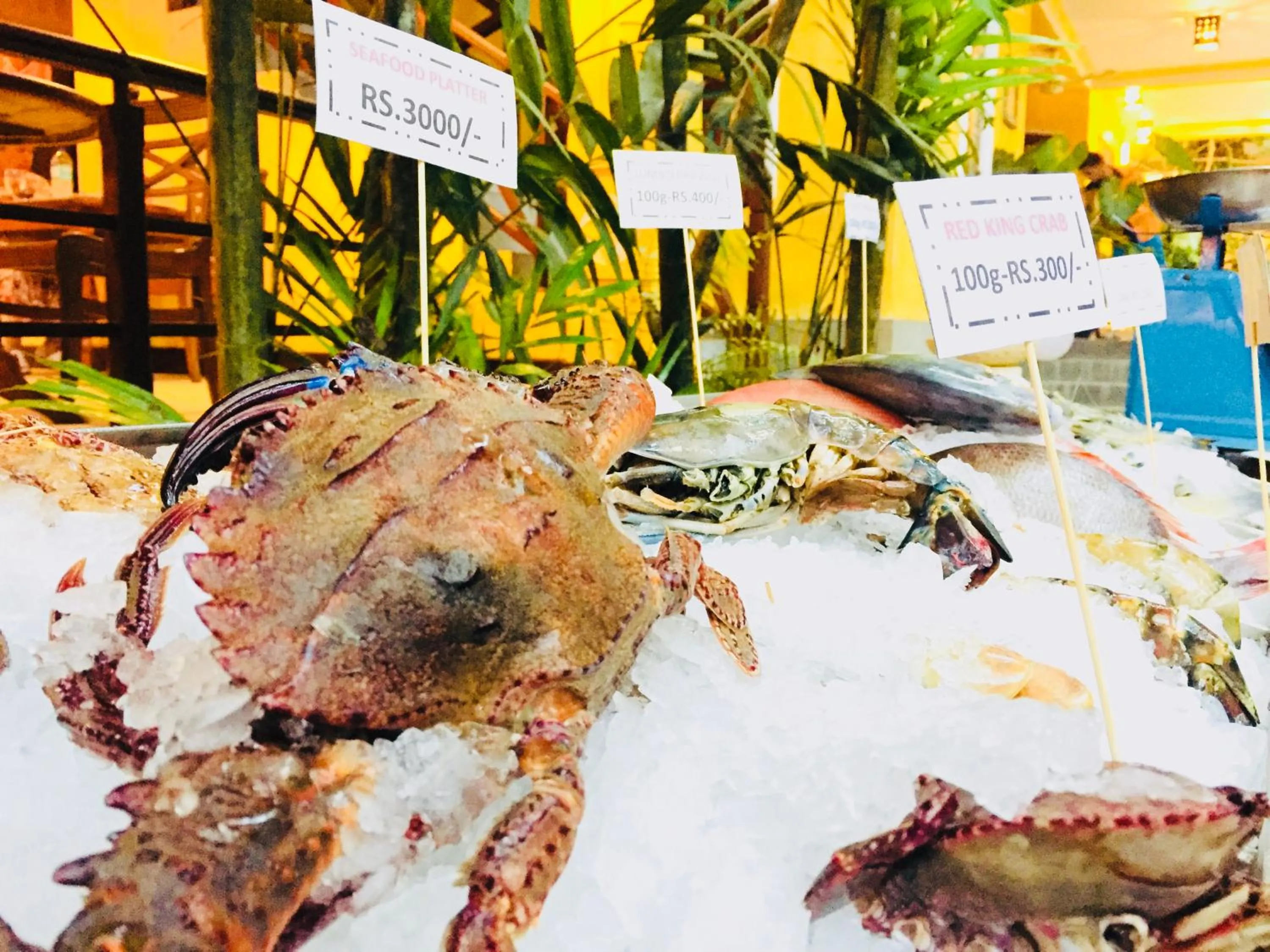 Meals in Thambapanni Retreat