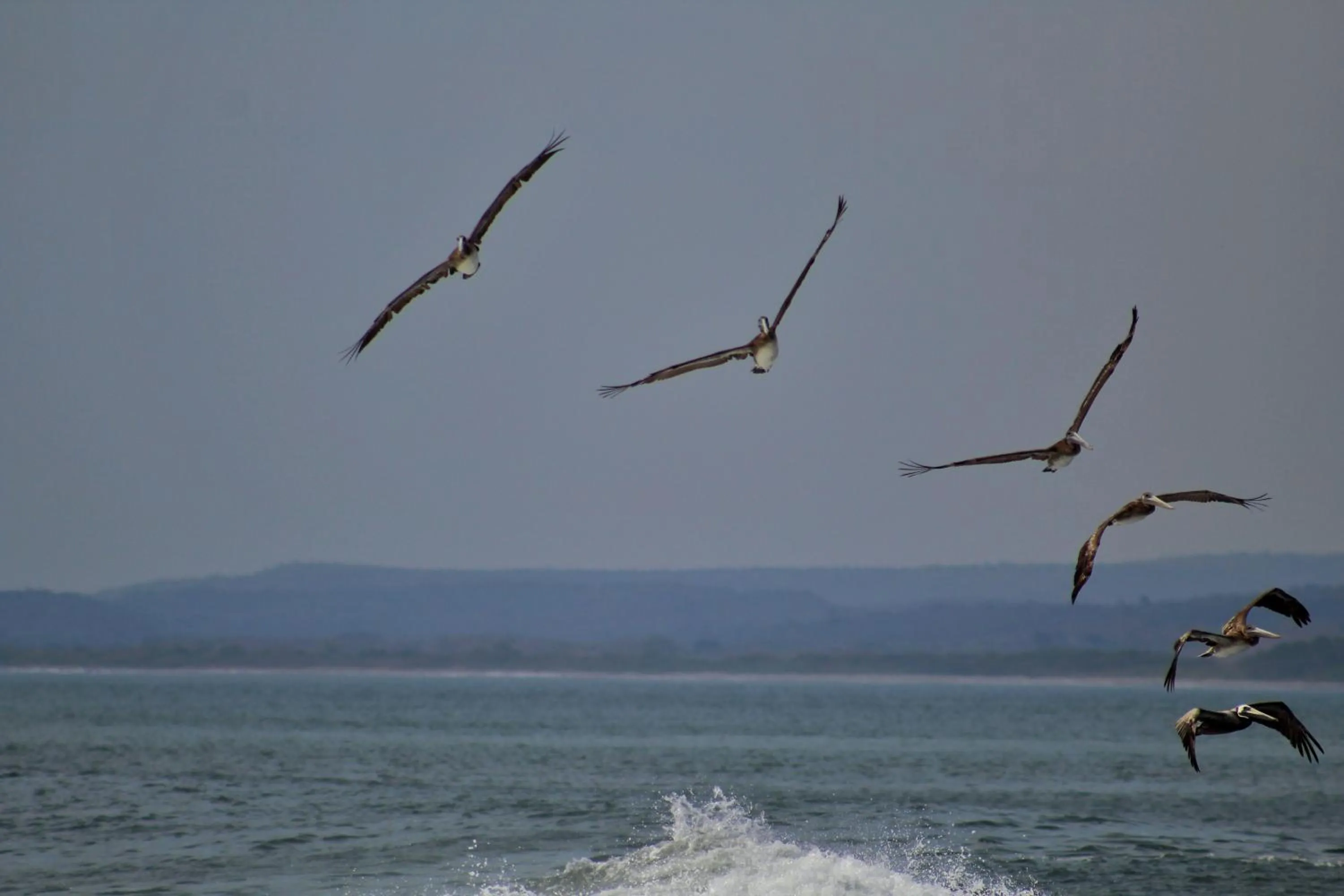 Property building in Suite San Juan 135 Gran Pacifica Resort