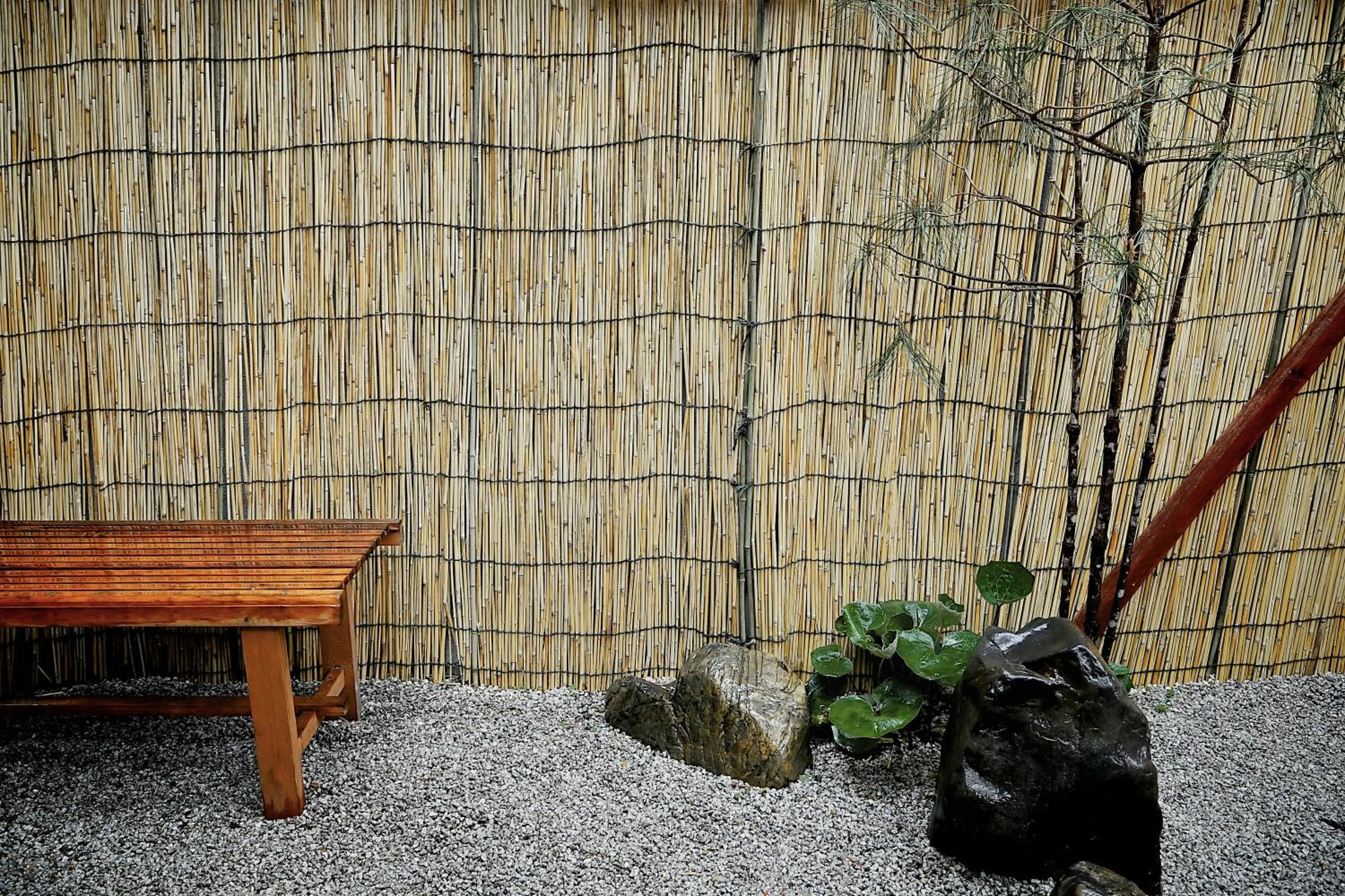 Patio in Hostel Mundo