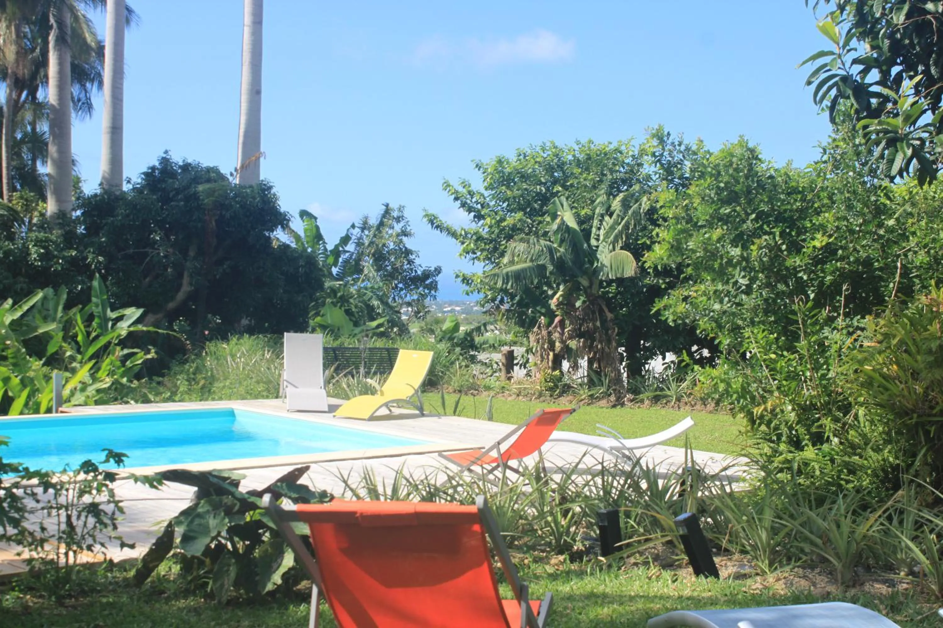 Swimming pool in Poivre et Citronnelle