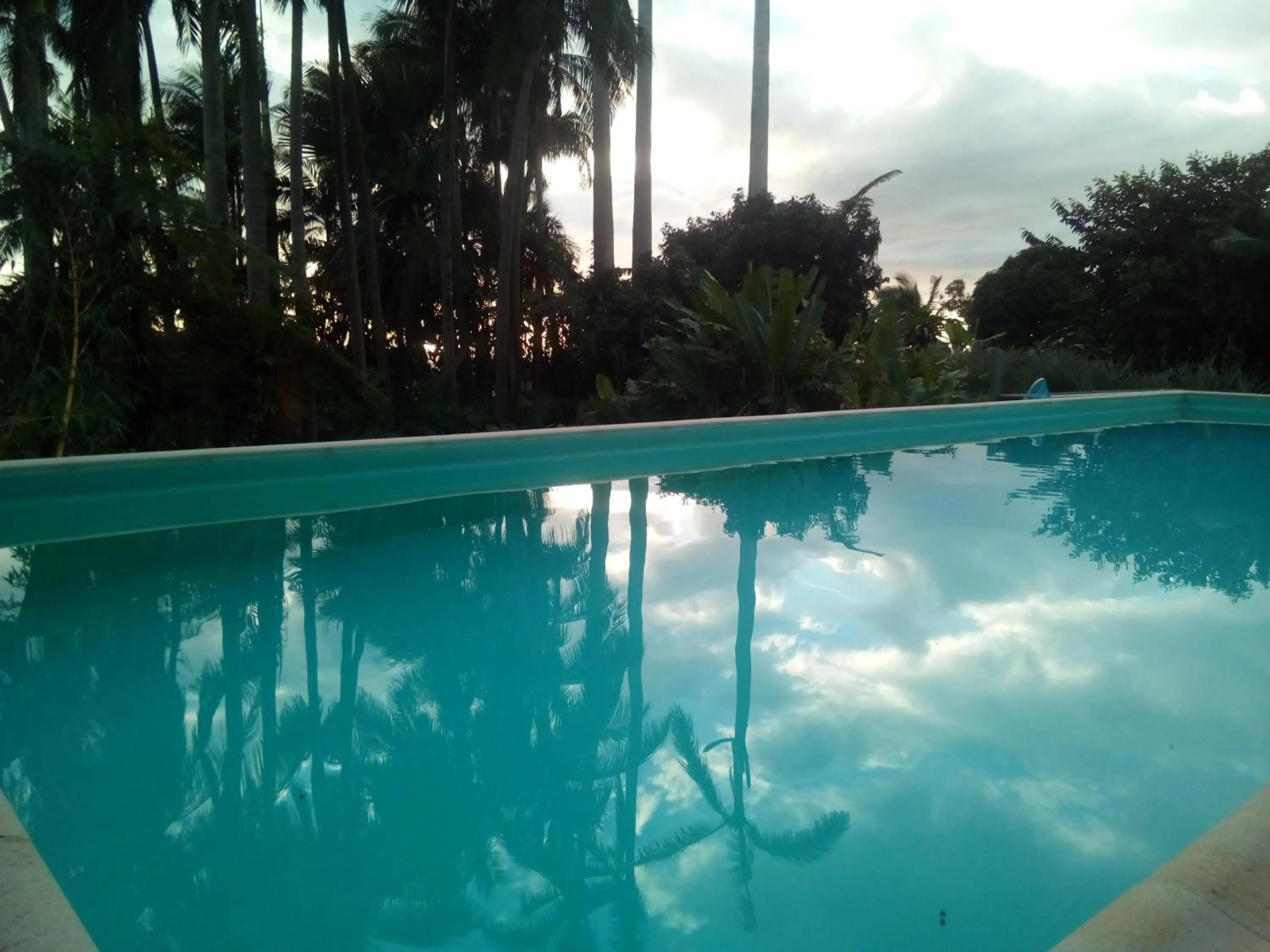 Swimming pool in Poivre et Citronnelle