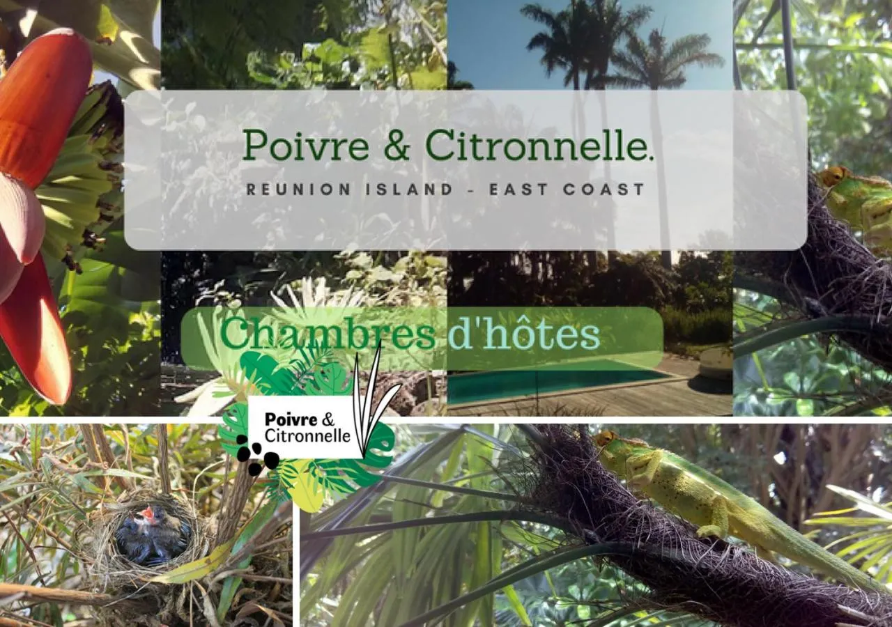 Property logo or sign in Poivre et Citronnelle