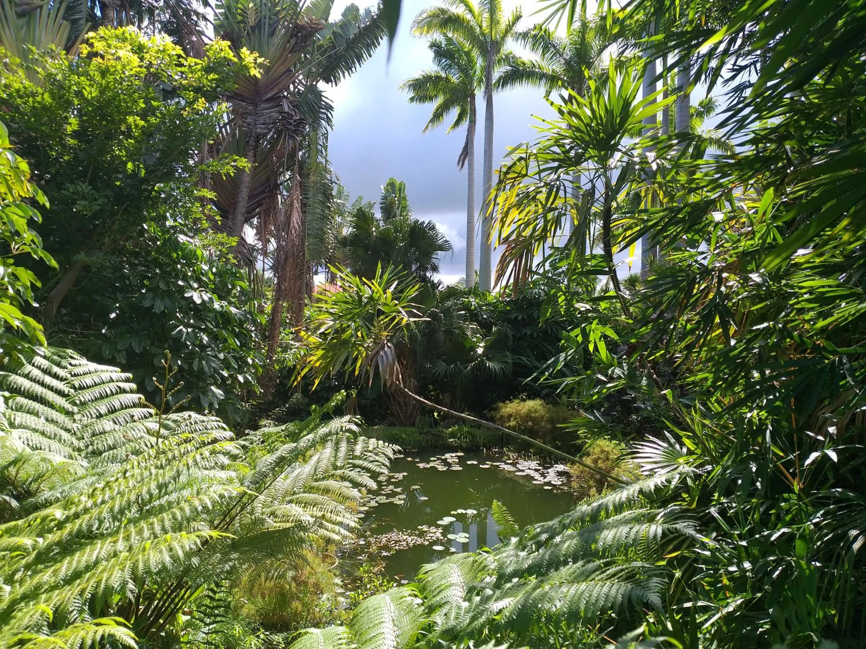 Poivre et Citronnelle