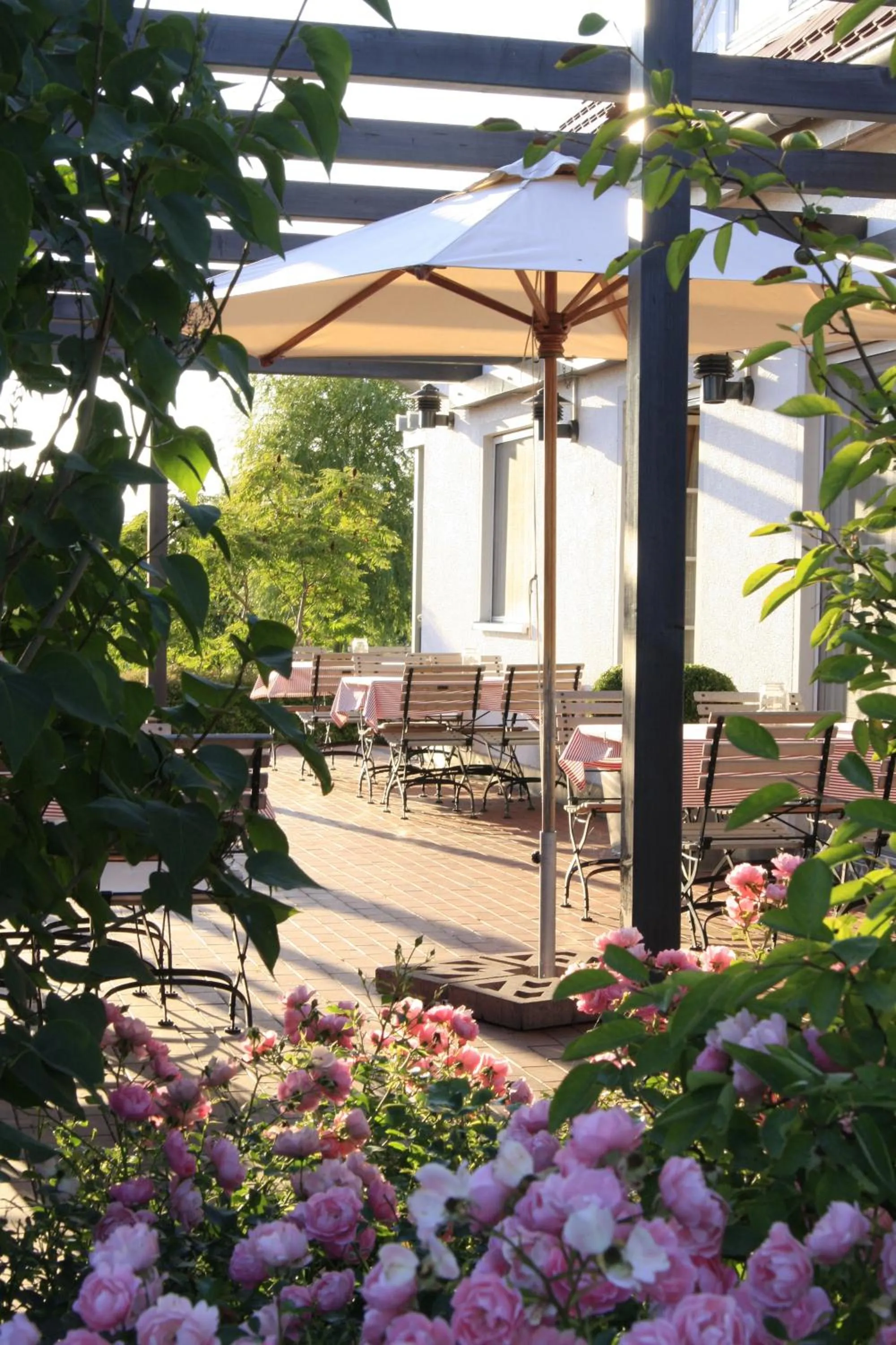 Restaurant/places to eat in H.W.S. Hotel Der Wilde Schwan