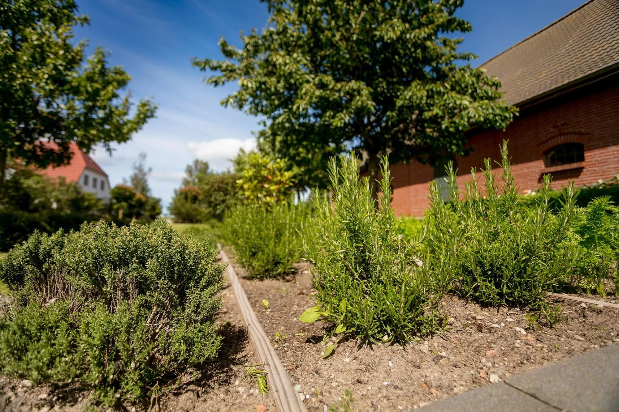 Summer in H.W.S. Hotel Der Wilde Schwan