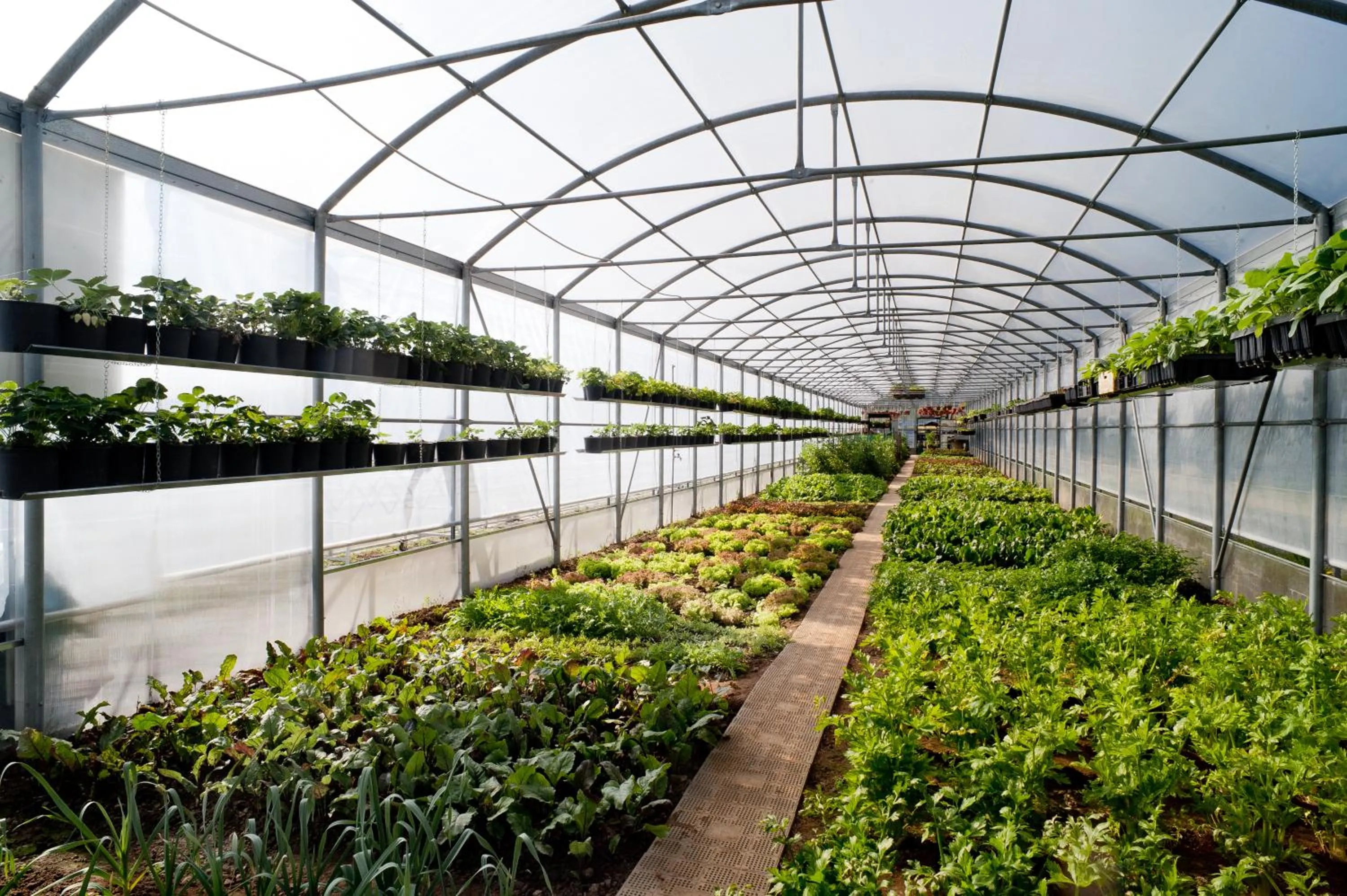 View (from property/room) in Agriturismo La Camilla