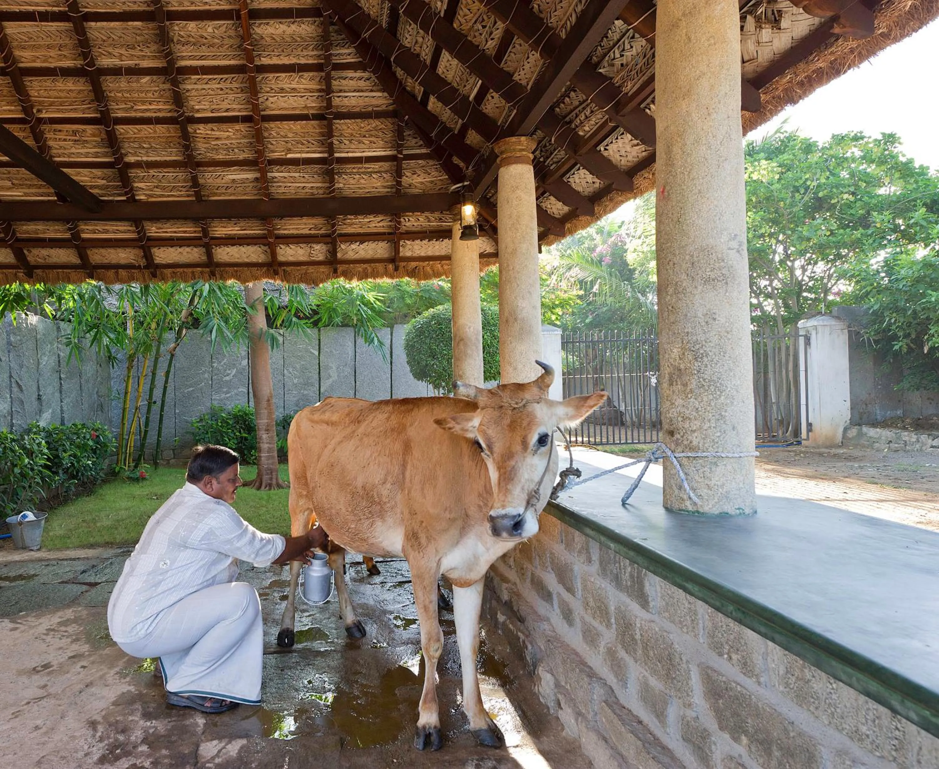 Pets in Halez Sparsa Thiruvannamalai
