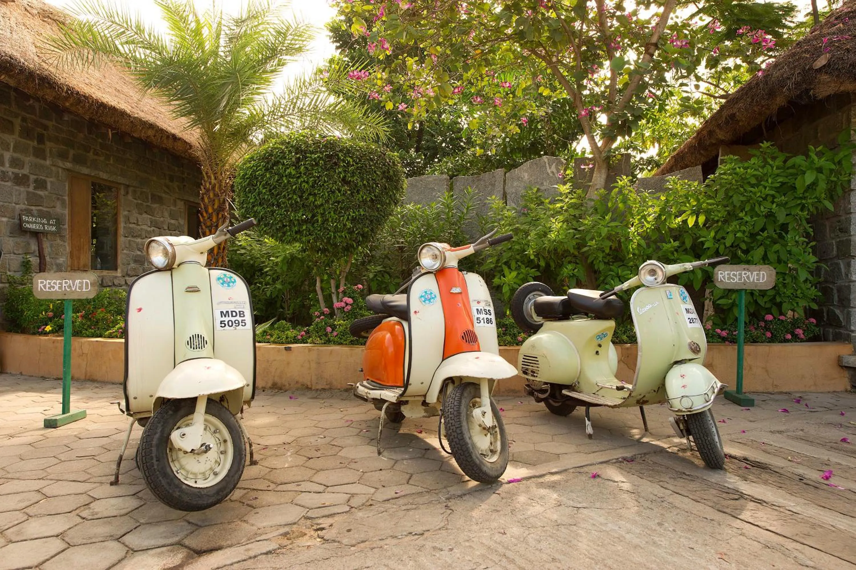 Cycling in Halez Sparsa Thiruvannamalai