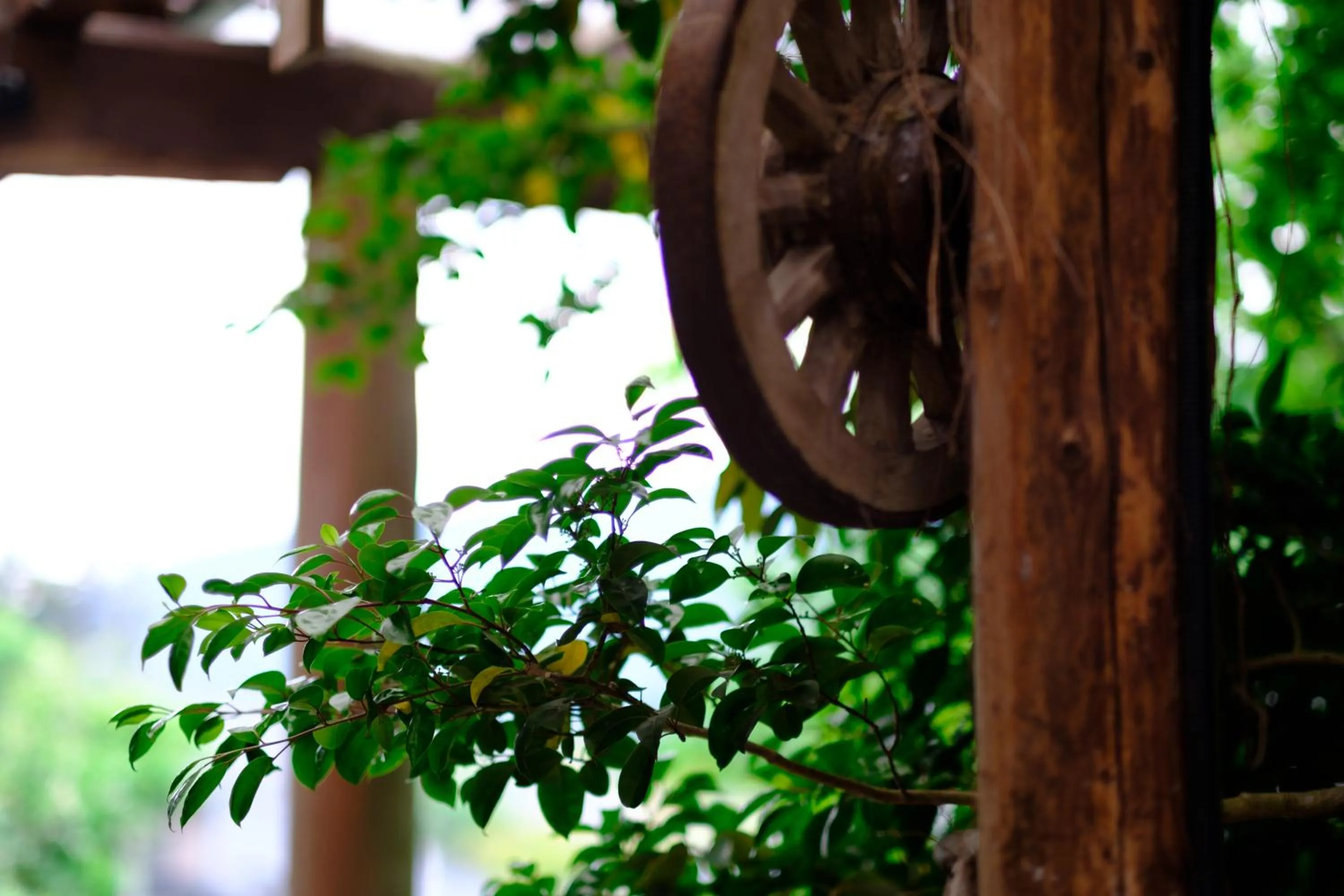 Facade/entrance in Yufuin Inakamura Inakaso