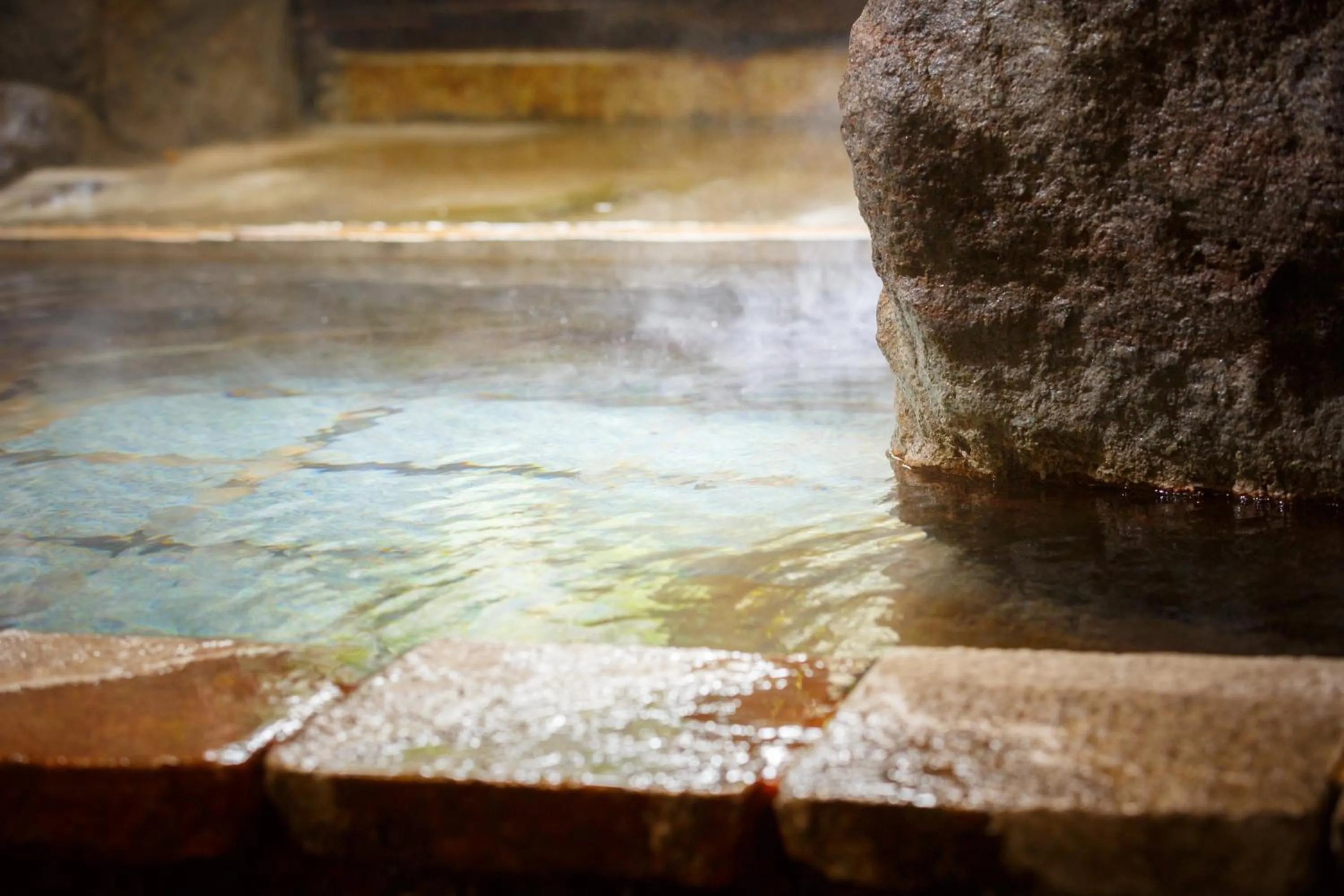 Hot Spring Bath in Yufuin Inakamura Inakaso