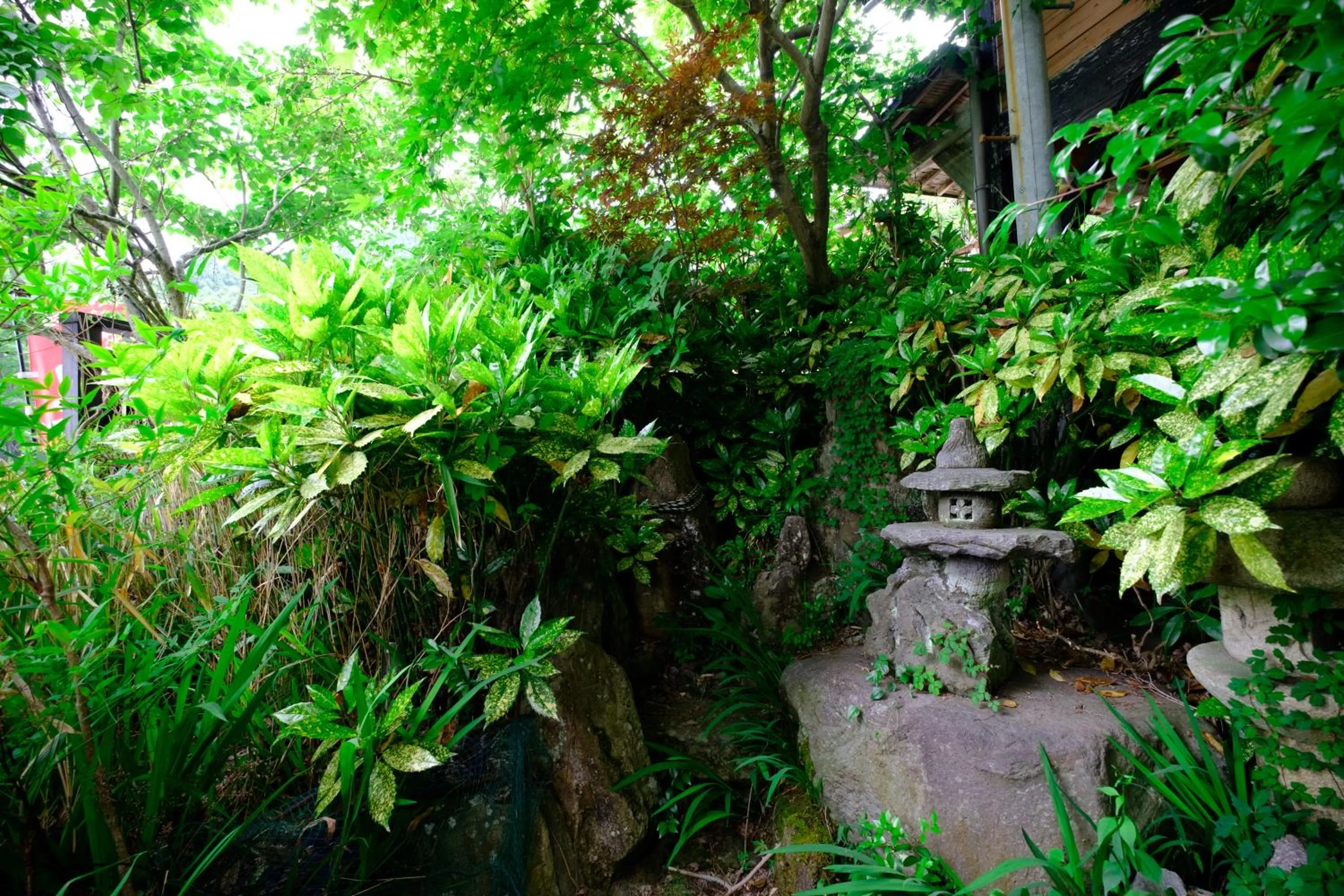 Garden in Yufuin Inakamura Inakaso