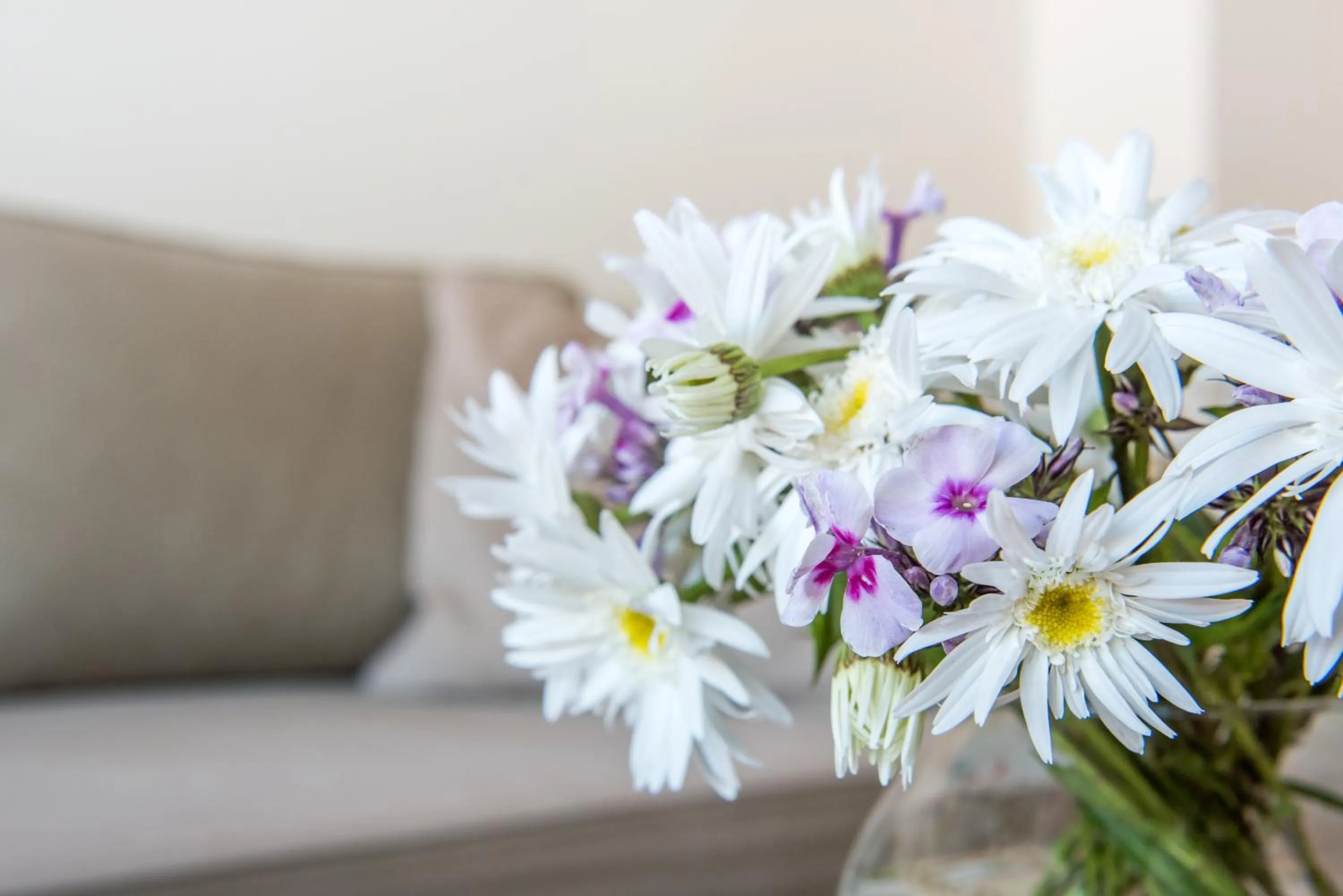 Living room in Hotel am Goethehaus