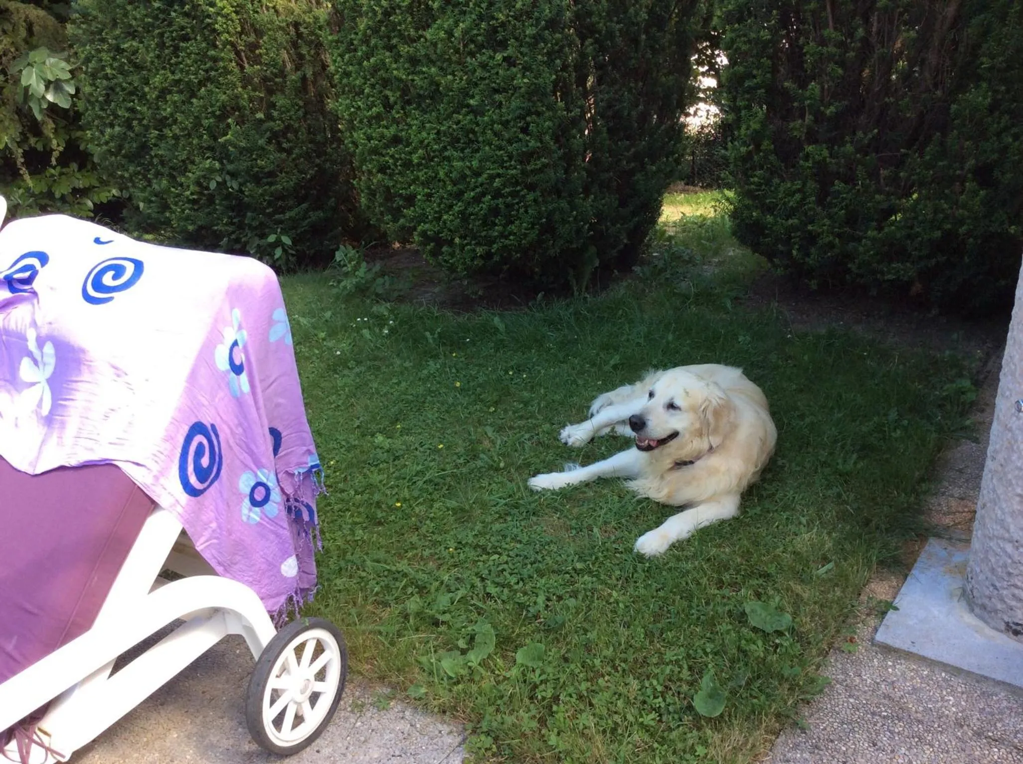 Pets in Demeure d'hôtes Les Irisynes