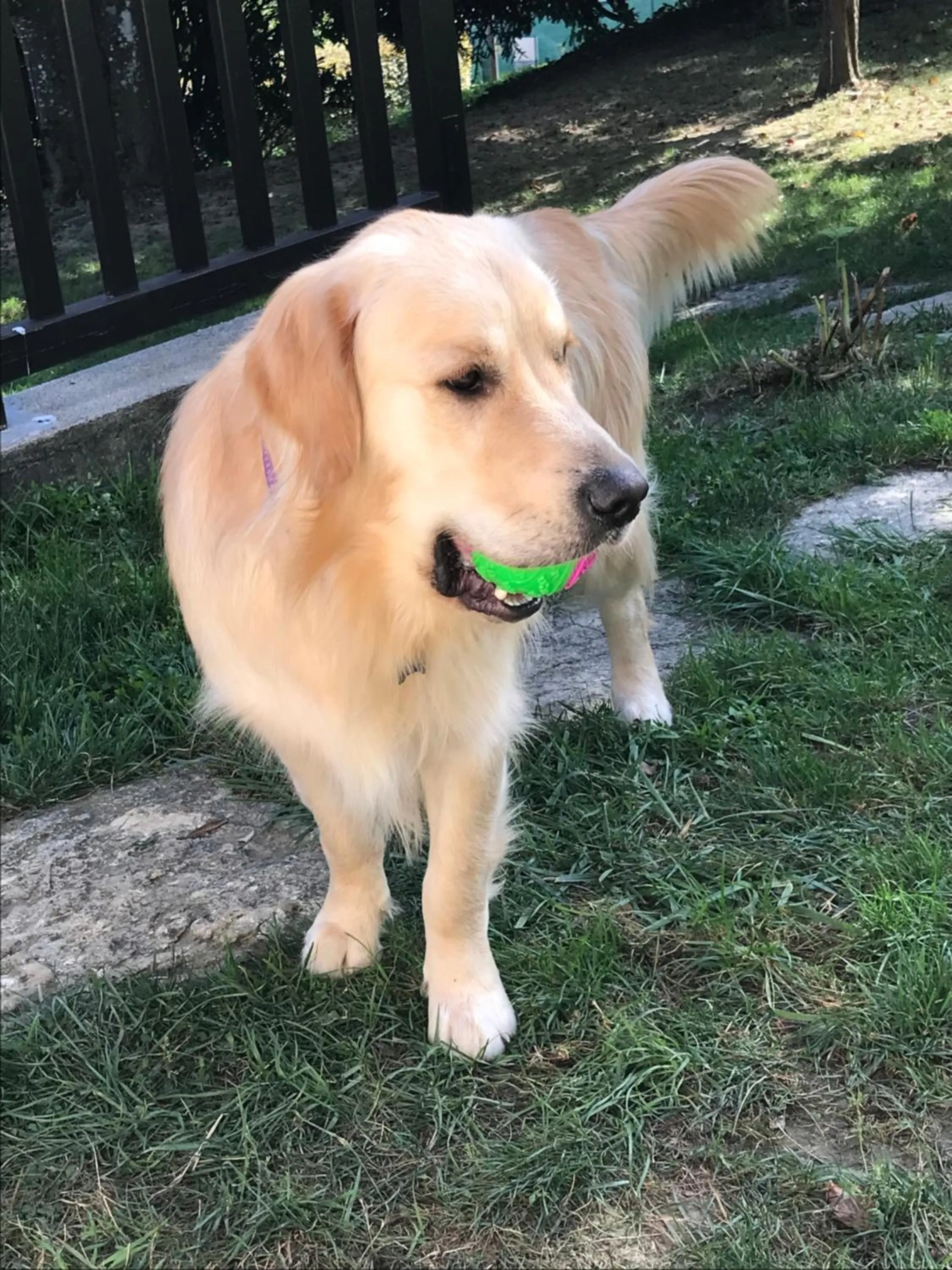 Demeure d'hôtes Les Irisynes