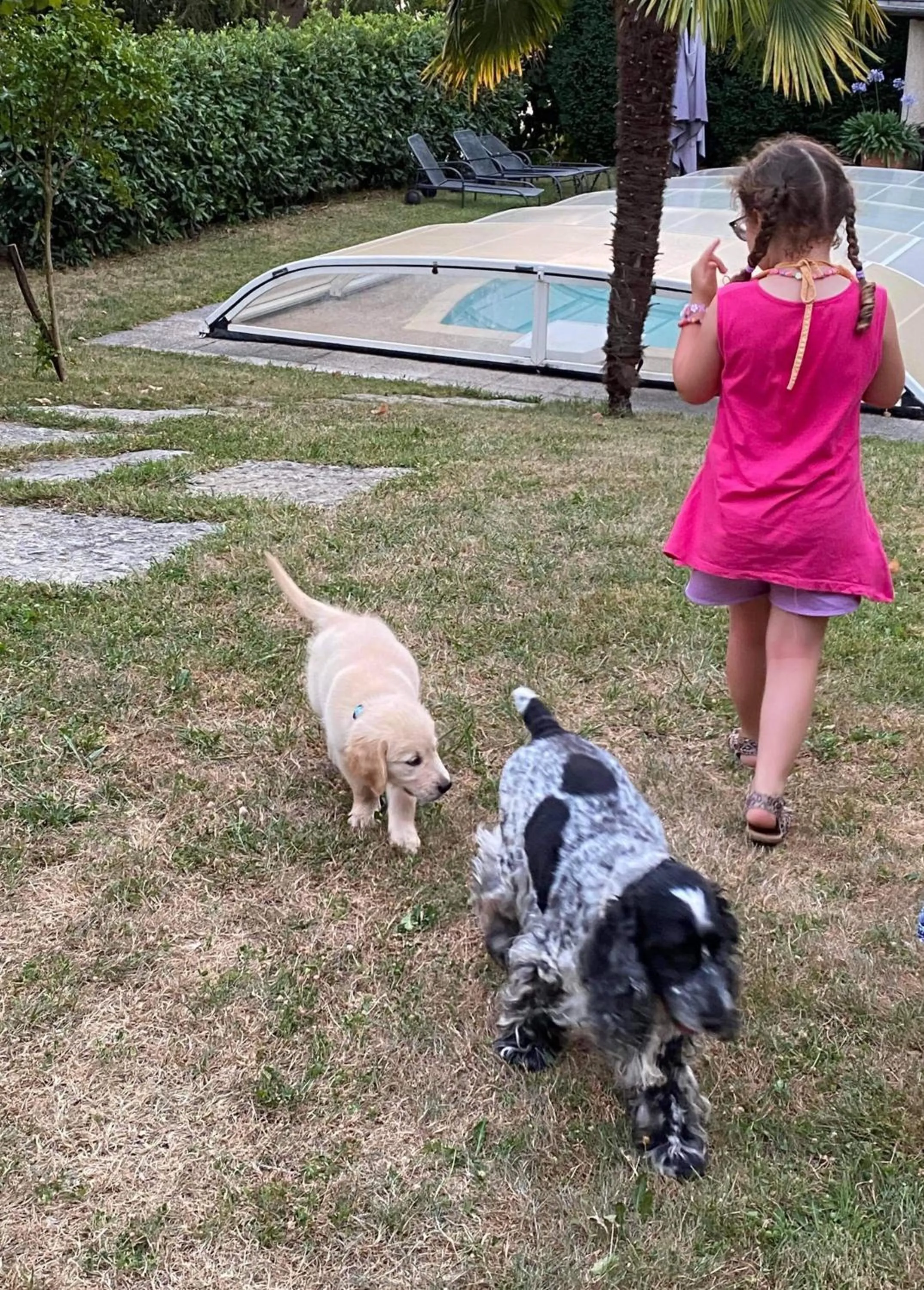 Pets in Demeure d'hôtes Les Irisynes