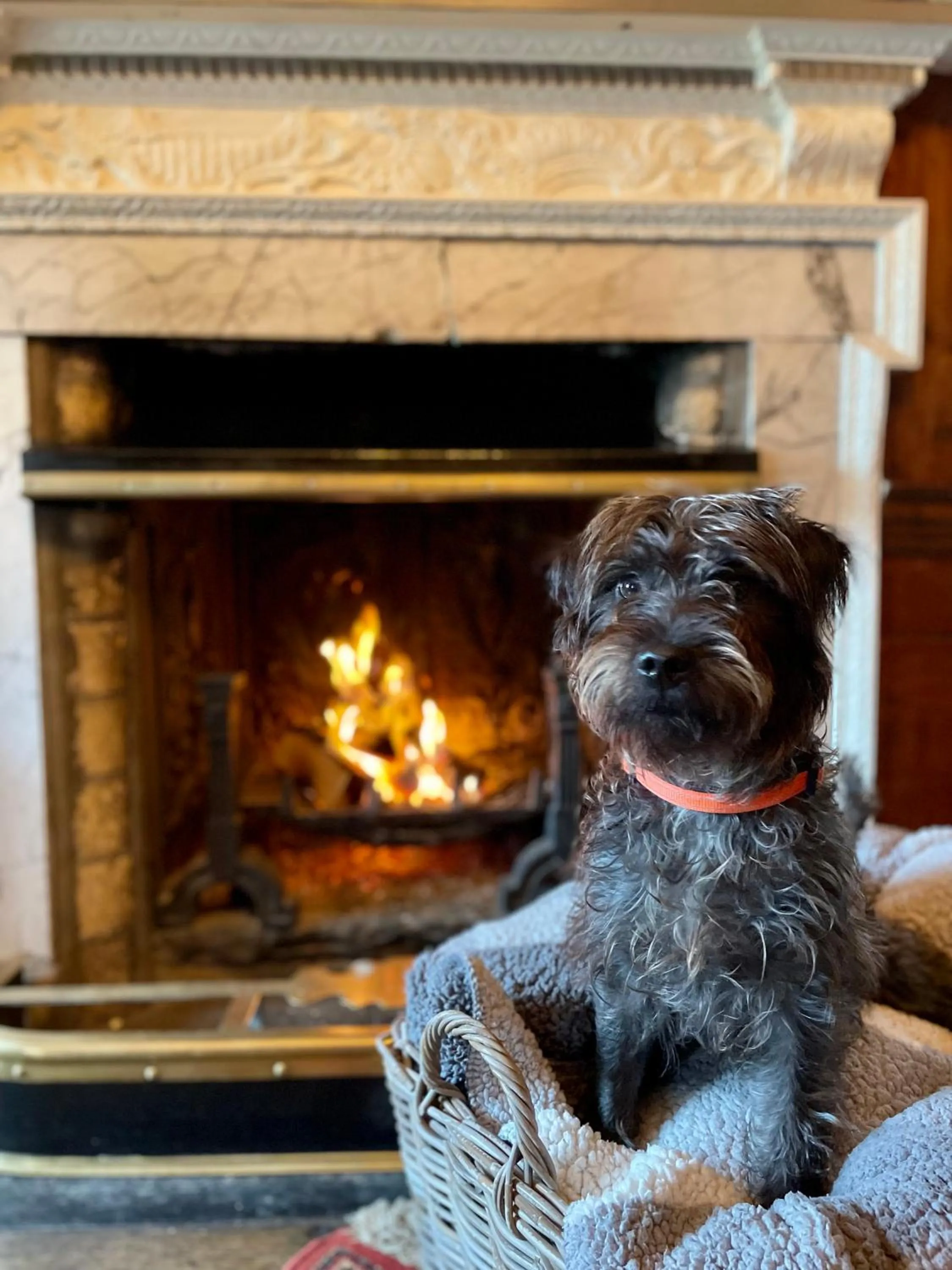 Peterstone Court Country House Restaurant & Spa