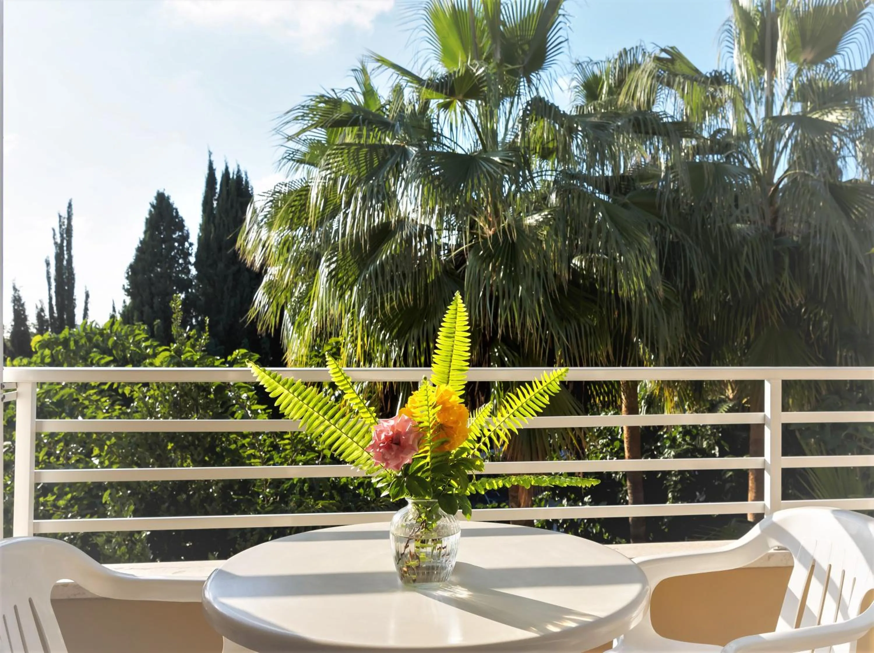 Garden in Apollonia Hotel Apartments