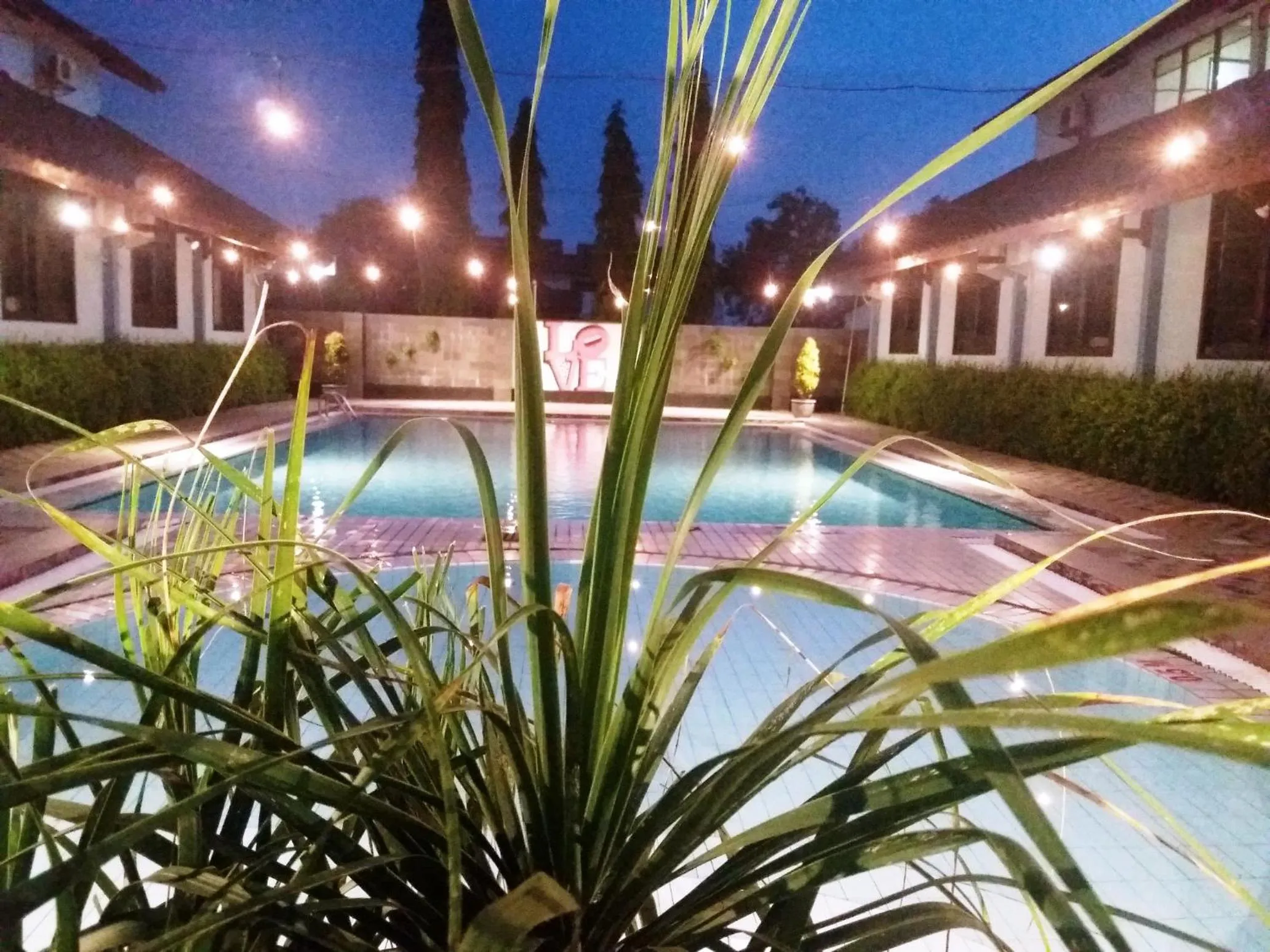 Pool view in Hotel Sofia Juanda Surabaya