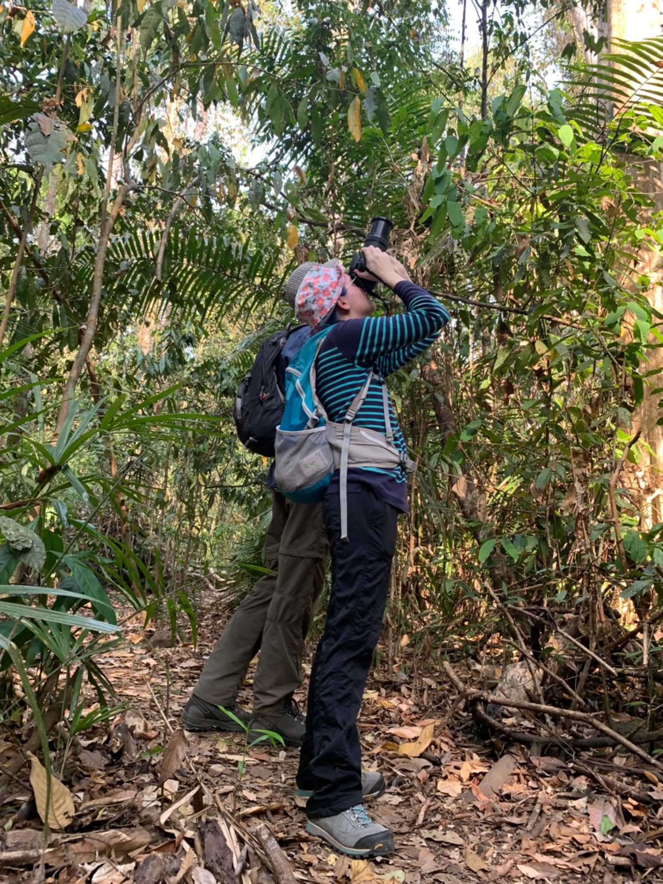 Gibbon Singing Home Stay