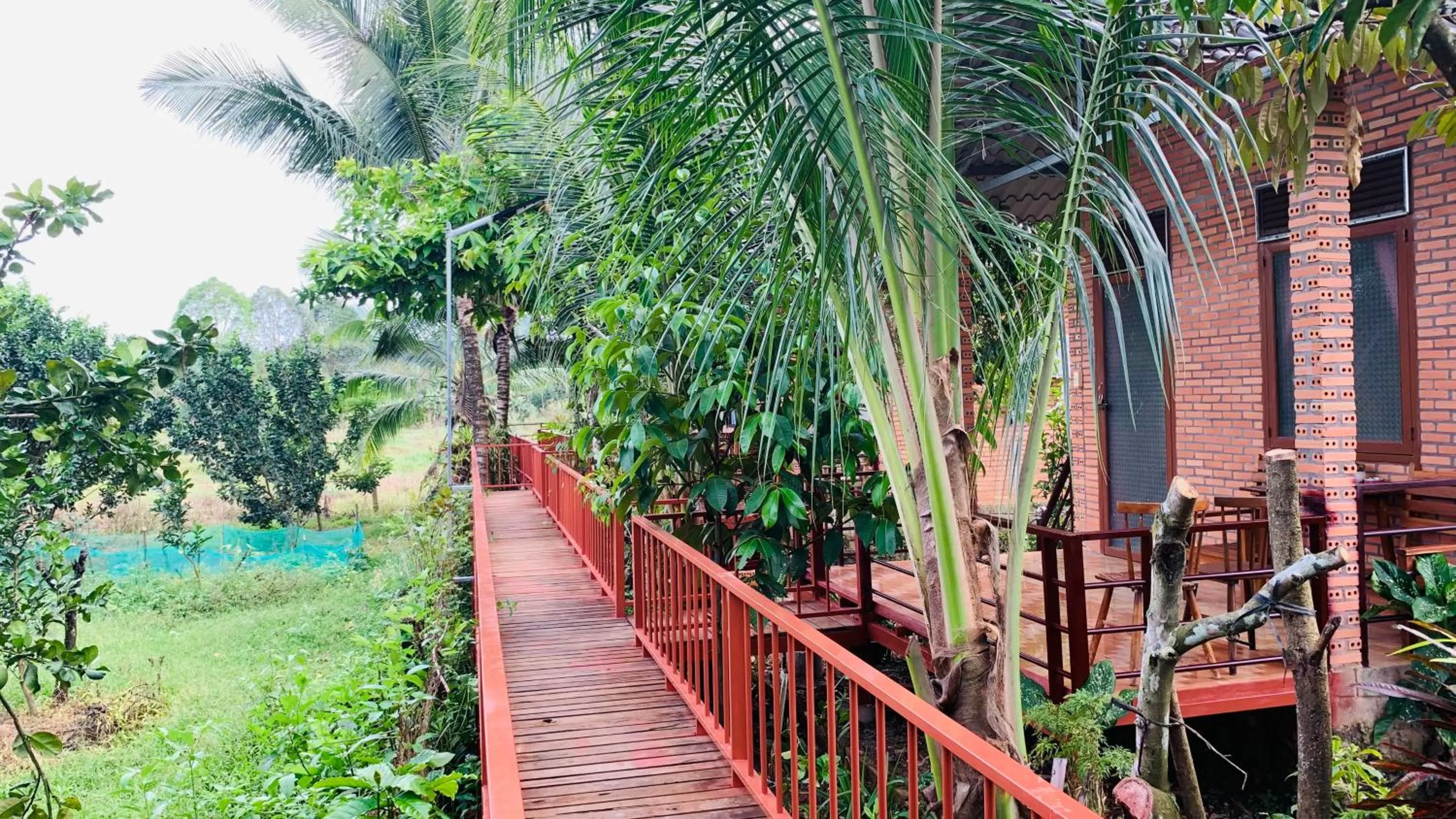 Gibbon Singing Home Stay