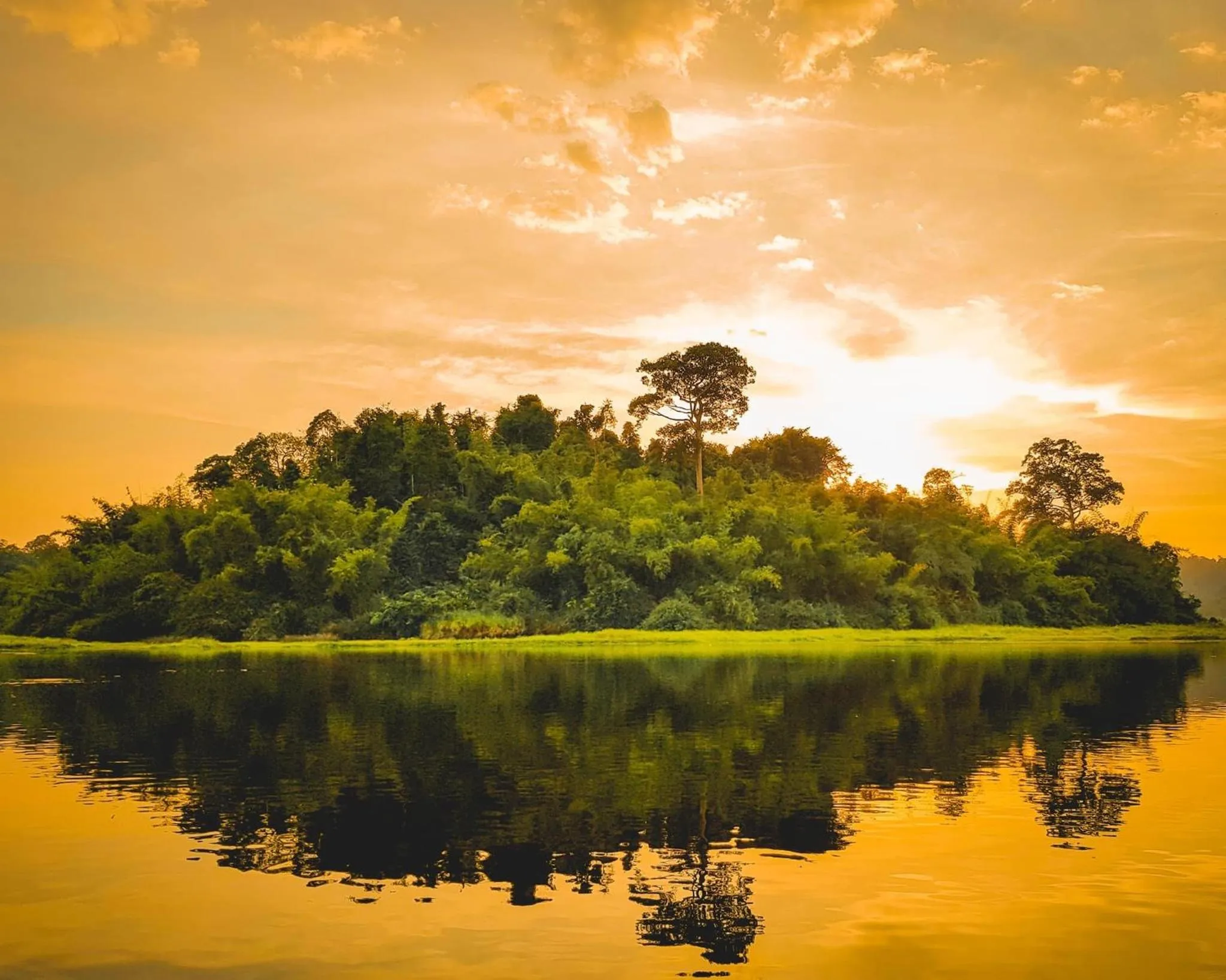 Gibbon Singing Home Stay