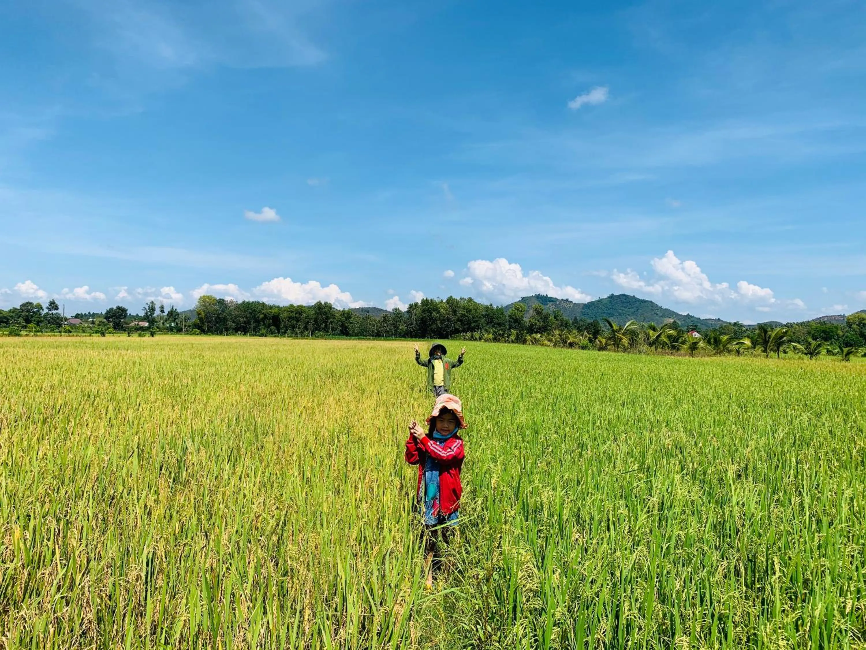 Gibbon Singing Home Stay