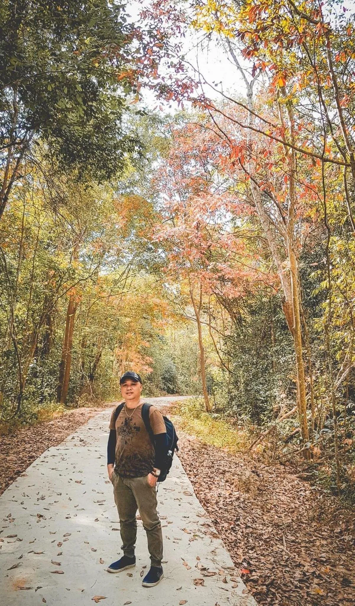 Gibbon Singing Home Stay