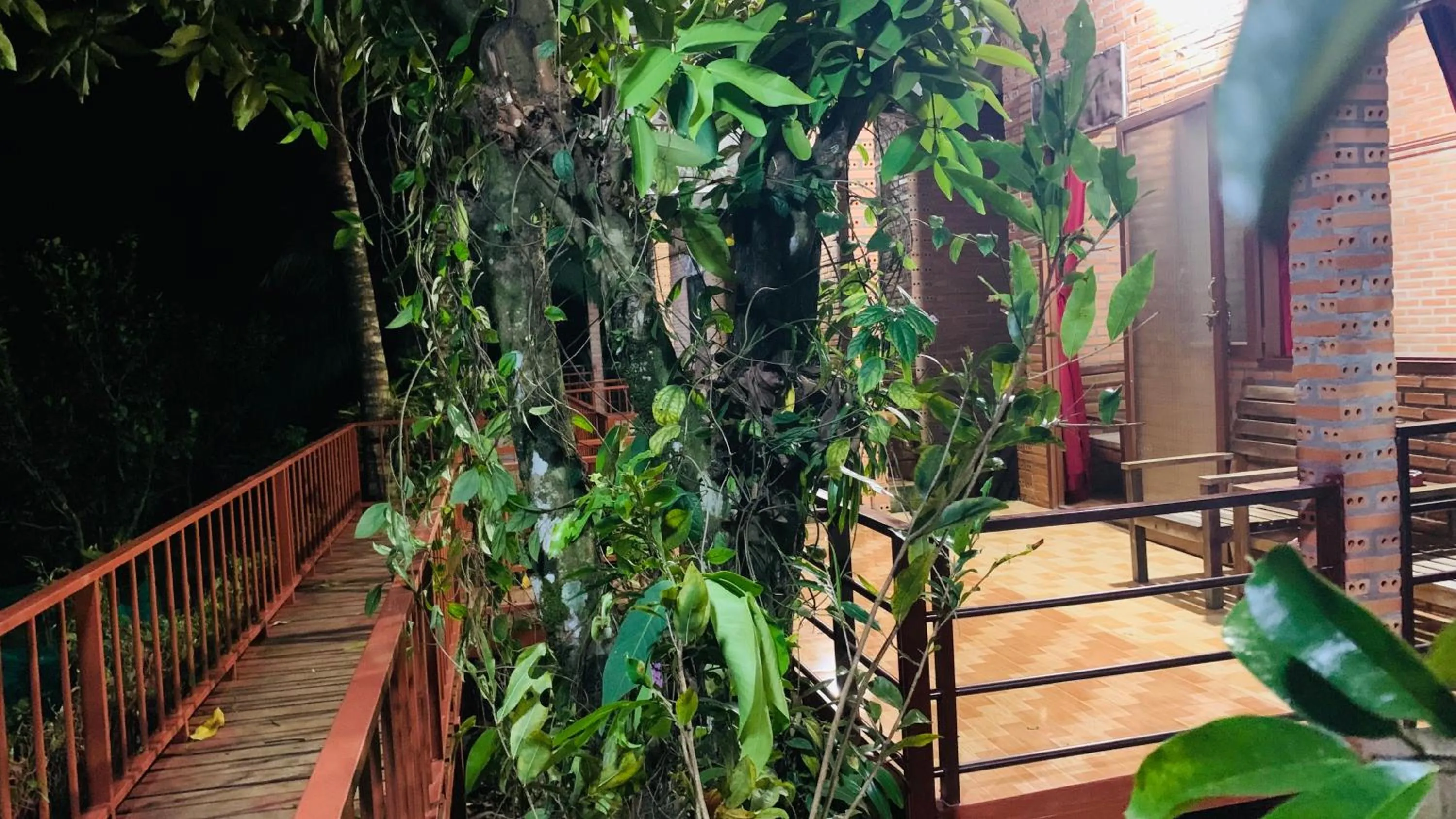 Gibbon Singing Home Stay