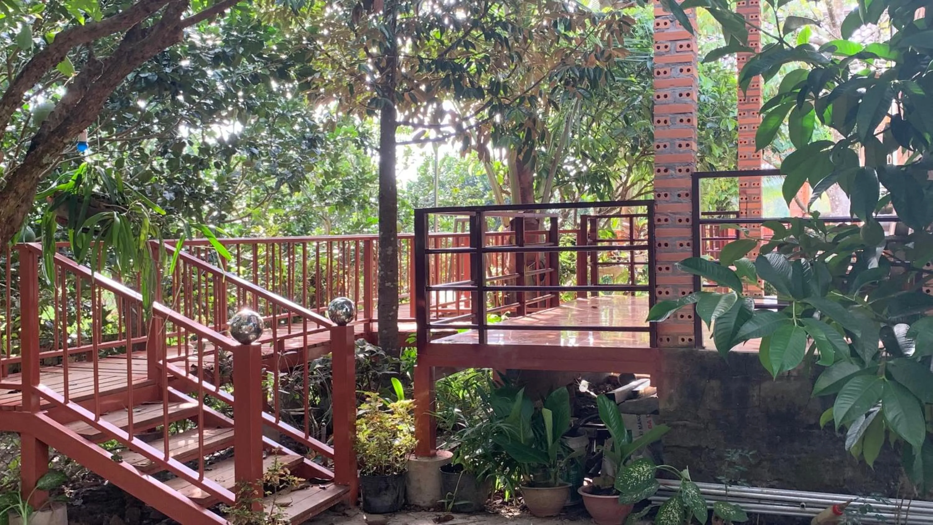 Gibbon Singing Home Stay