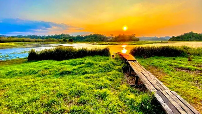 Gibbon Singing Home Stay