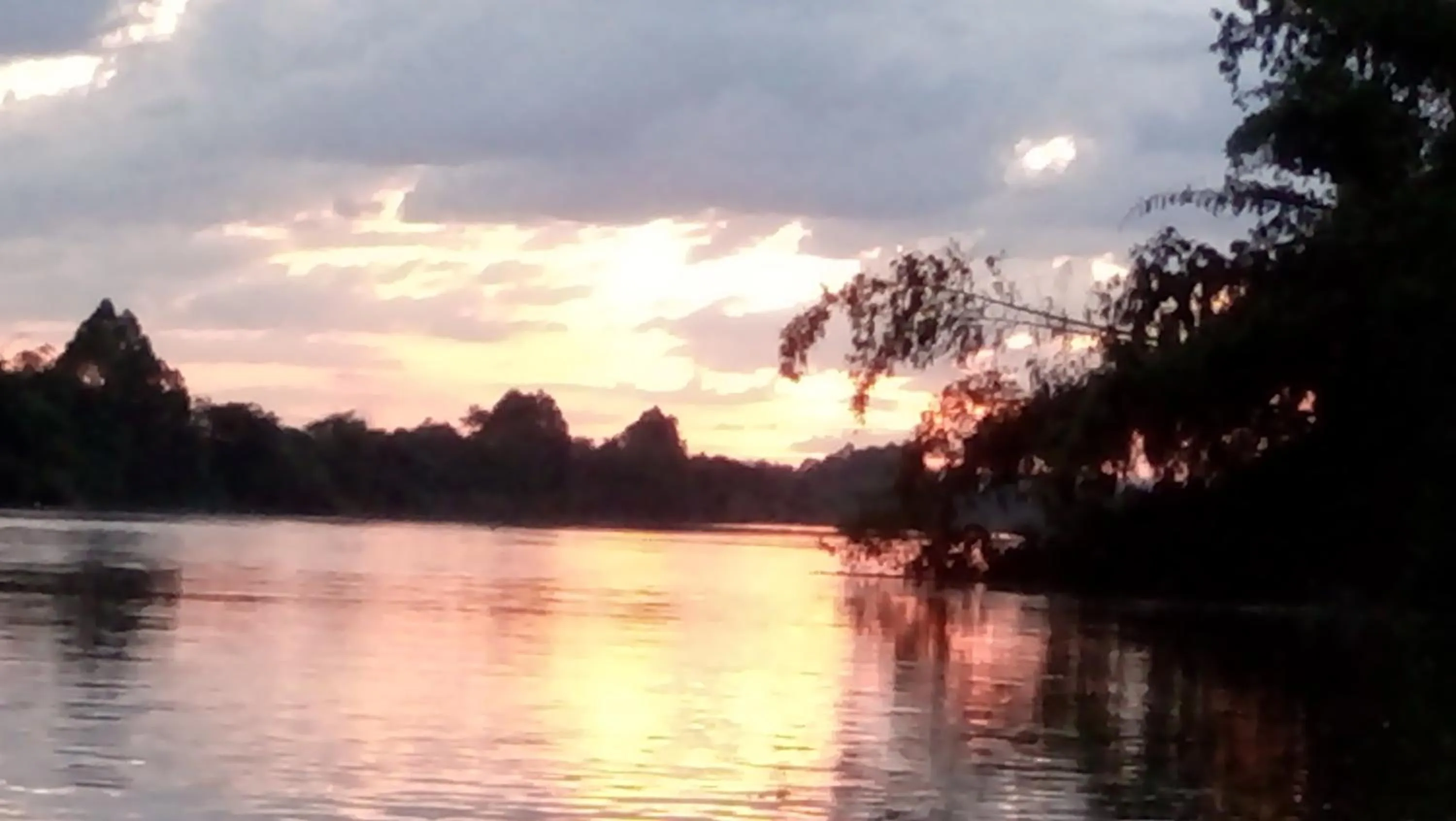 Gibbon Singing Home Stay