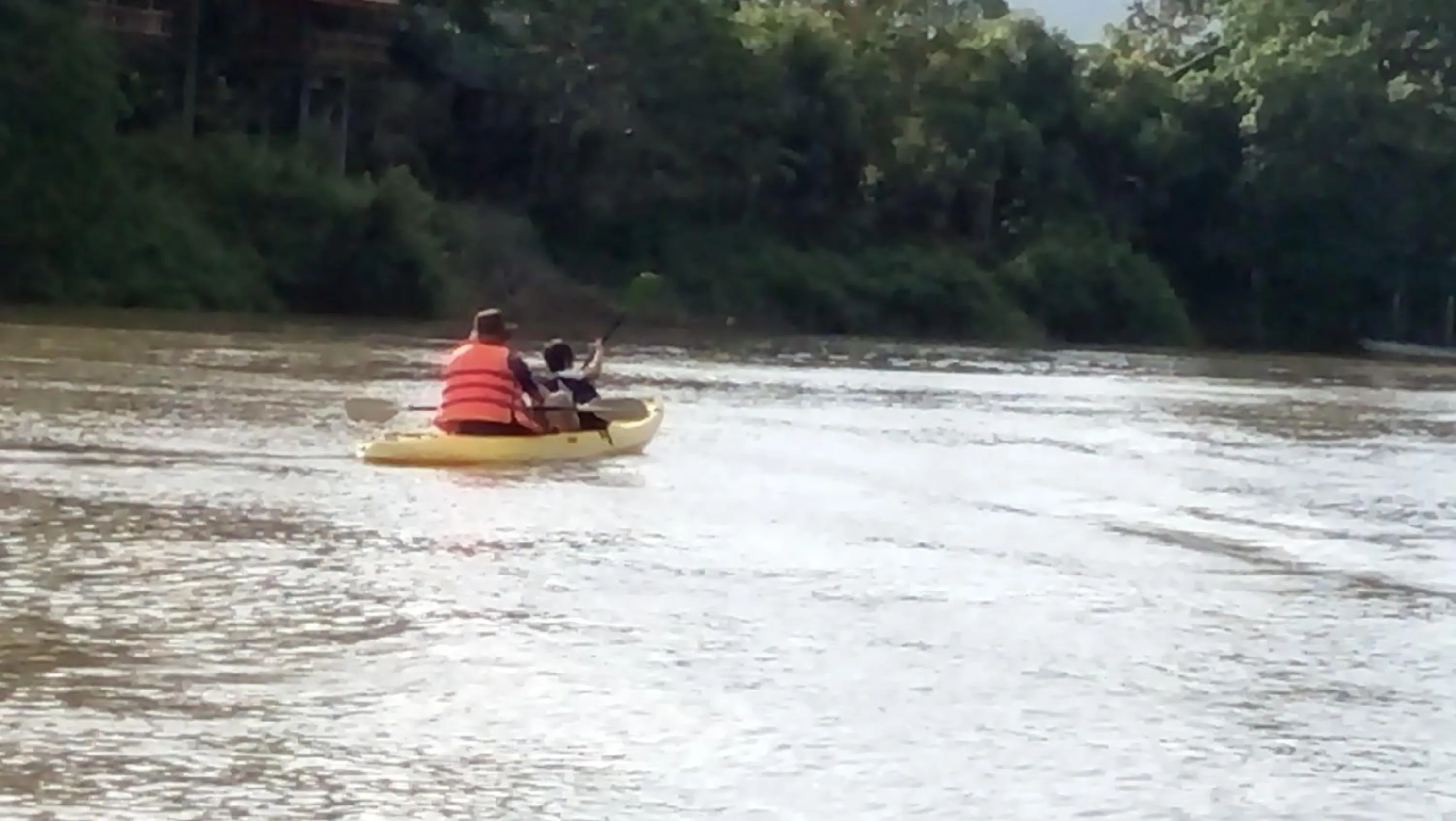 Gibbon Singing Home Stay