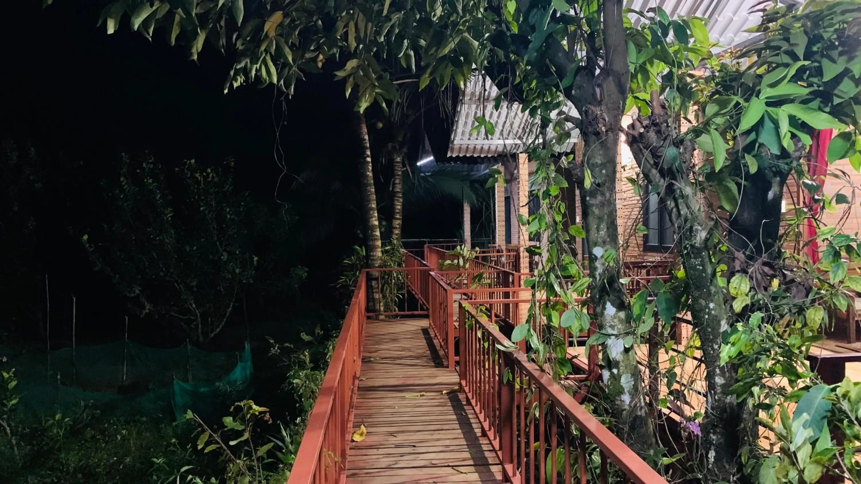 Gibbon Singing Home Stay