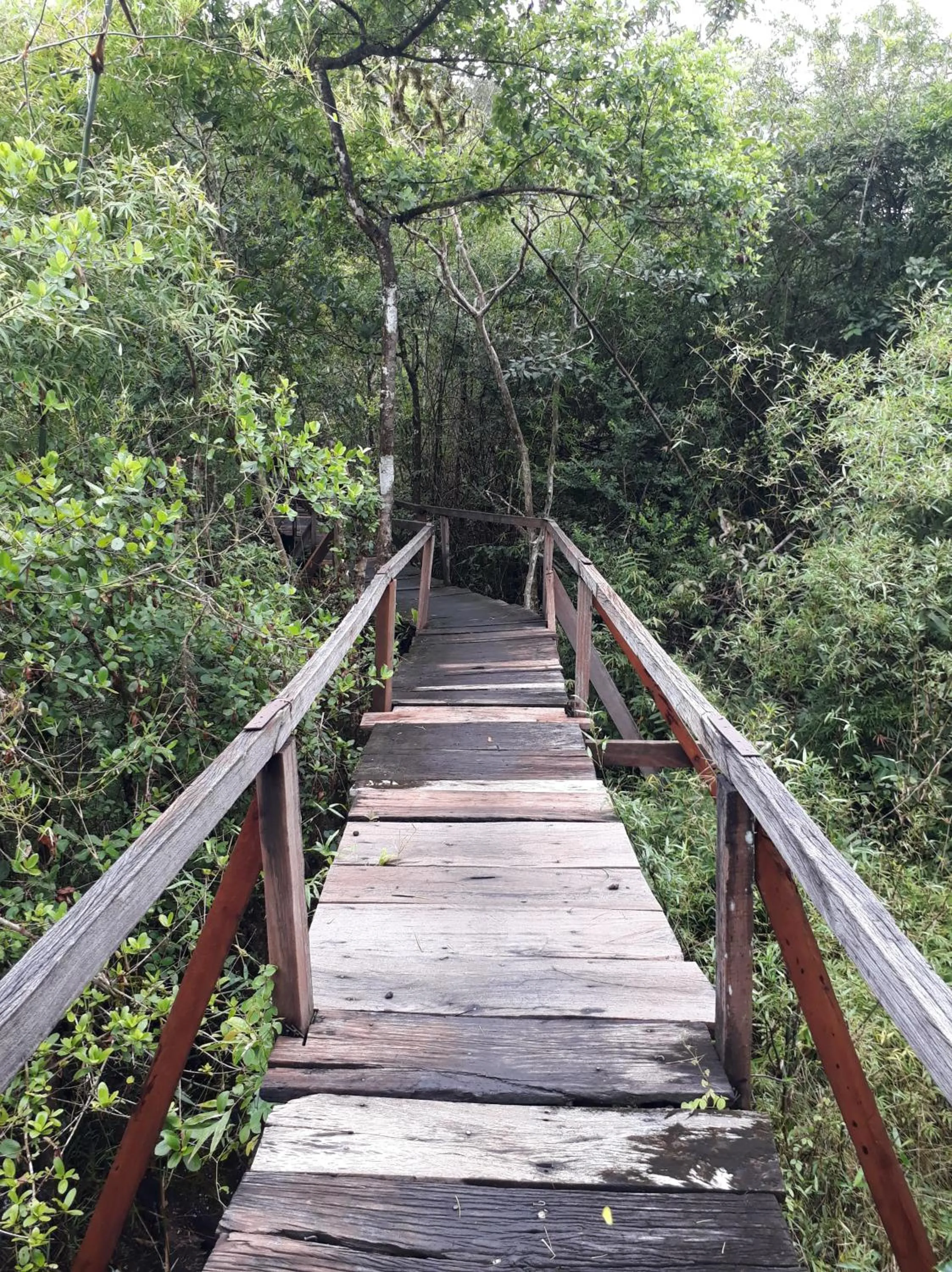 Property building in Gibbon Singing Home Stay