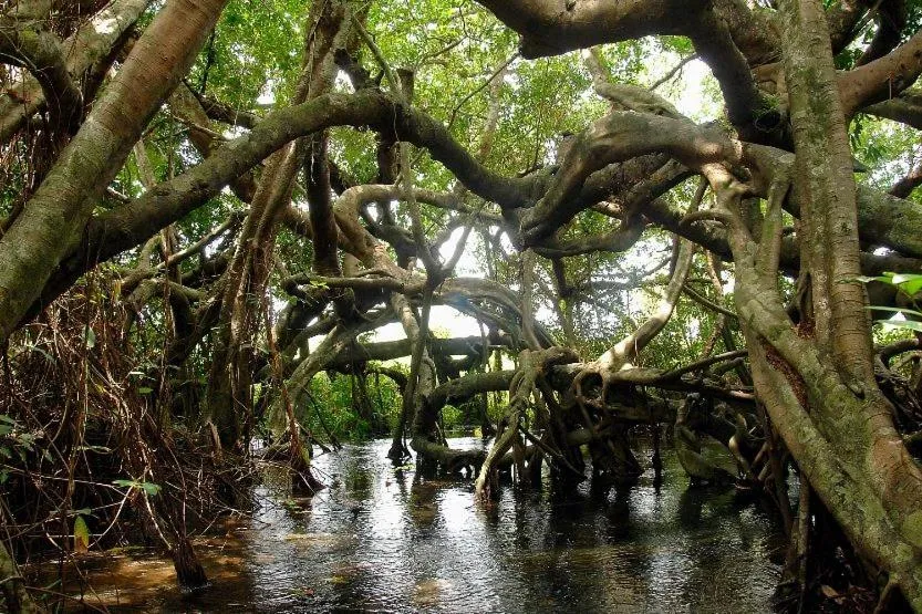 Property building in Gibbon Singing Home Stay