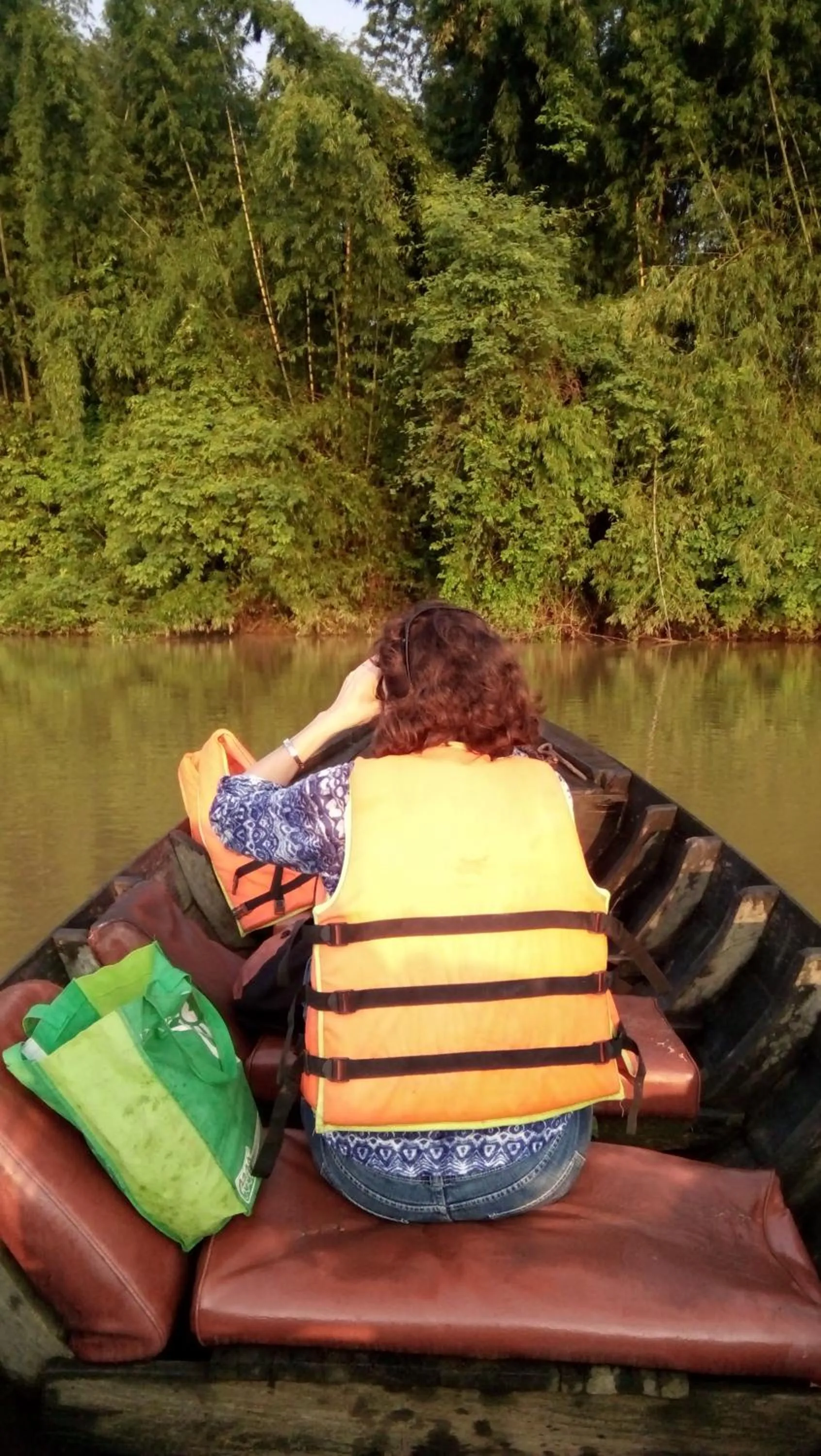 Gibbon Singing Home Stay