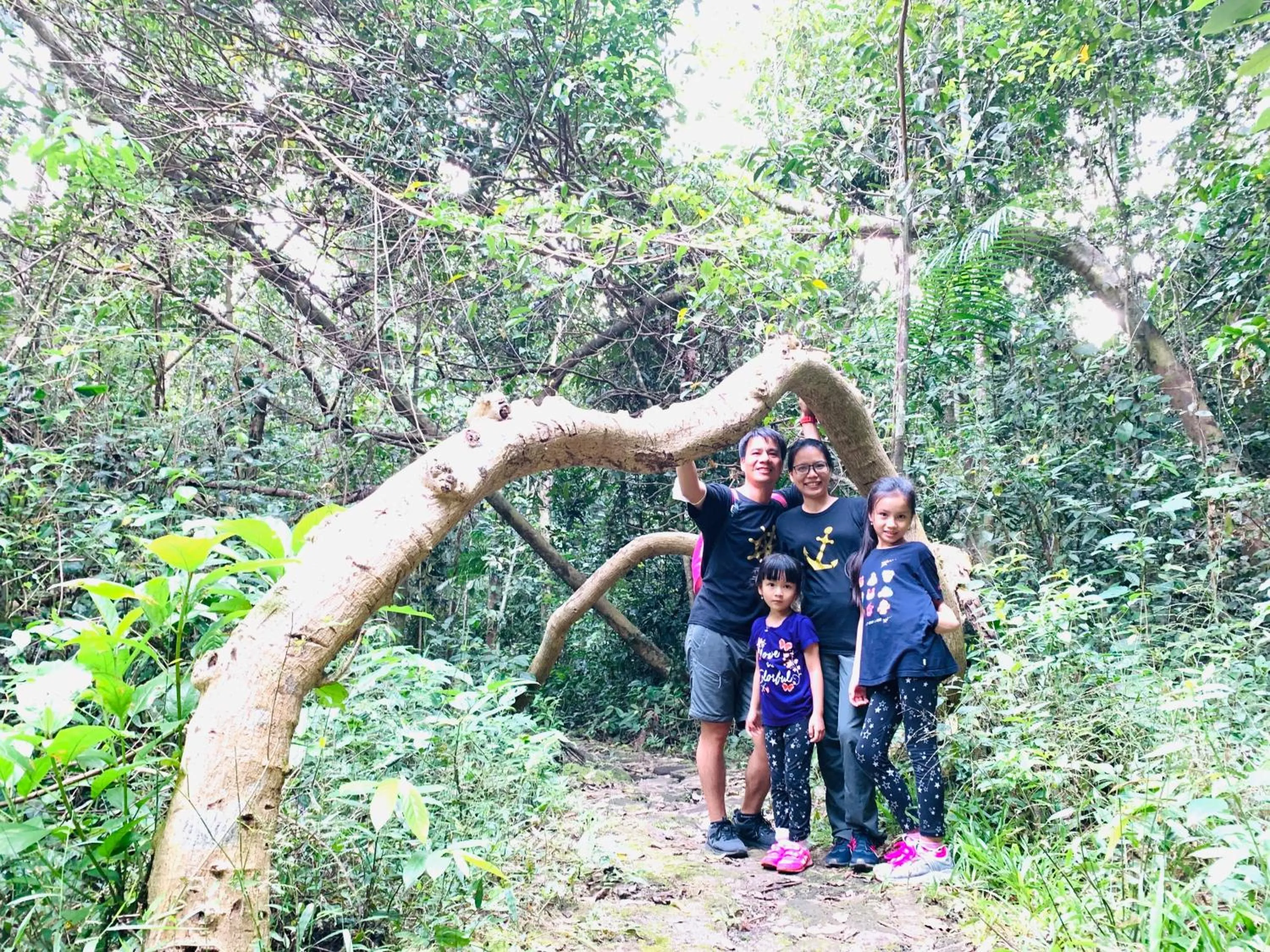 Gibbon Singing Home Stay